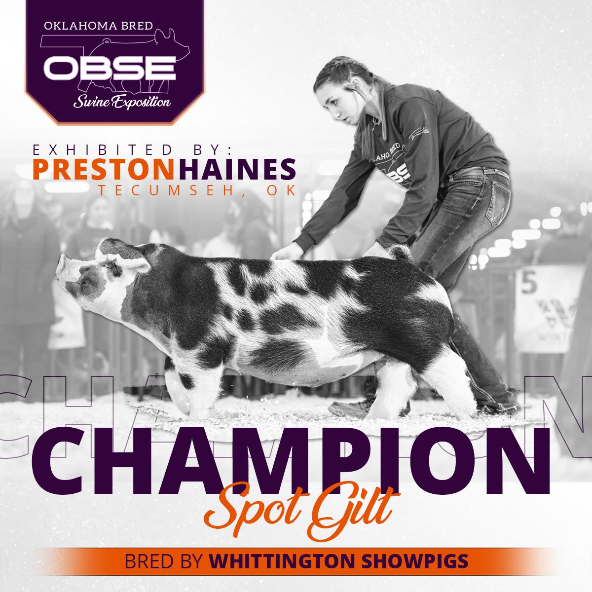OBSE23_ChampionSpot.jpg