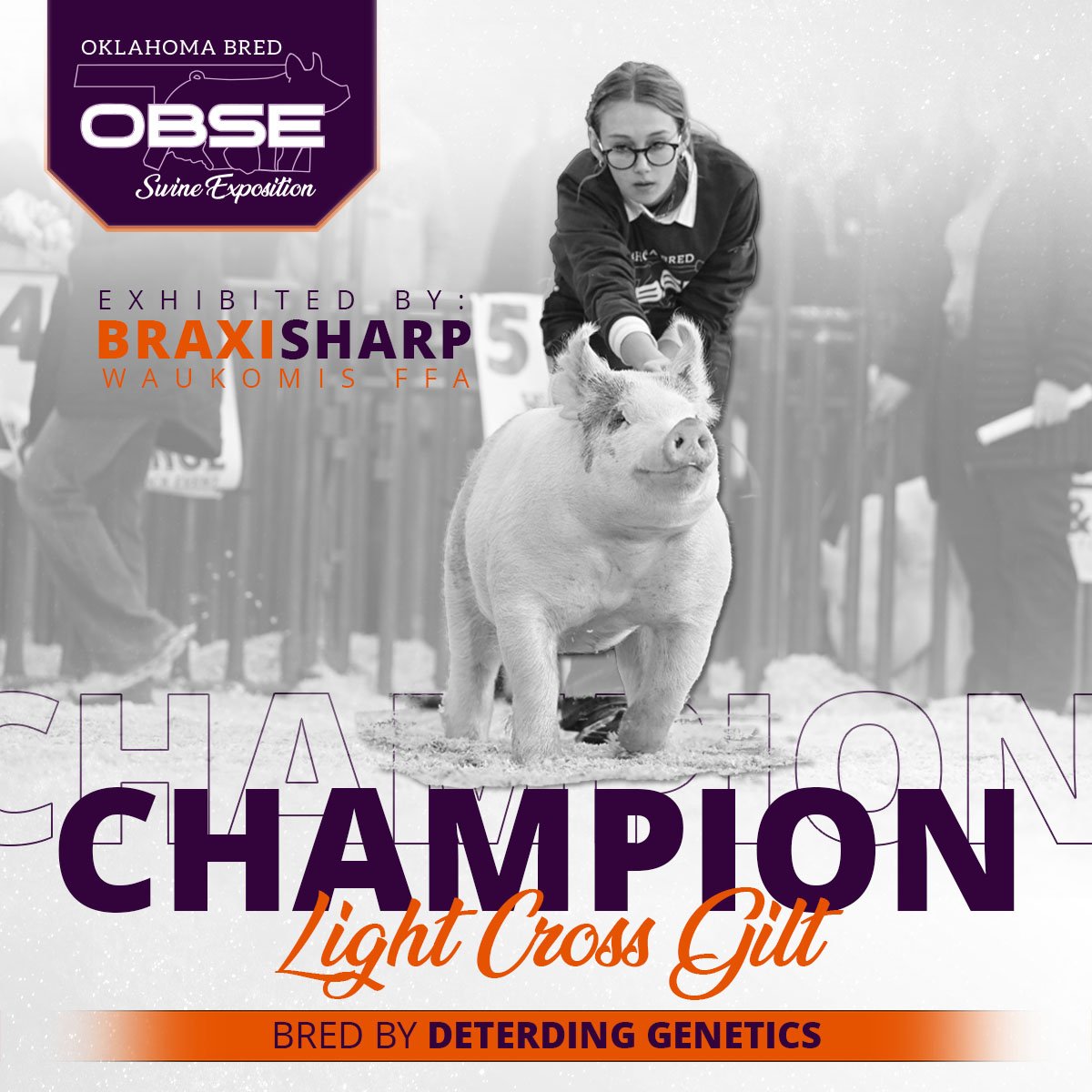 OBSE23_ChampionLightCross.jpg