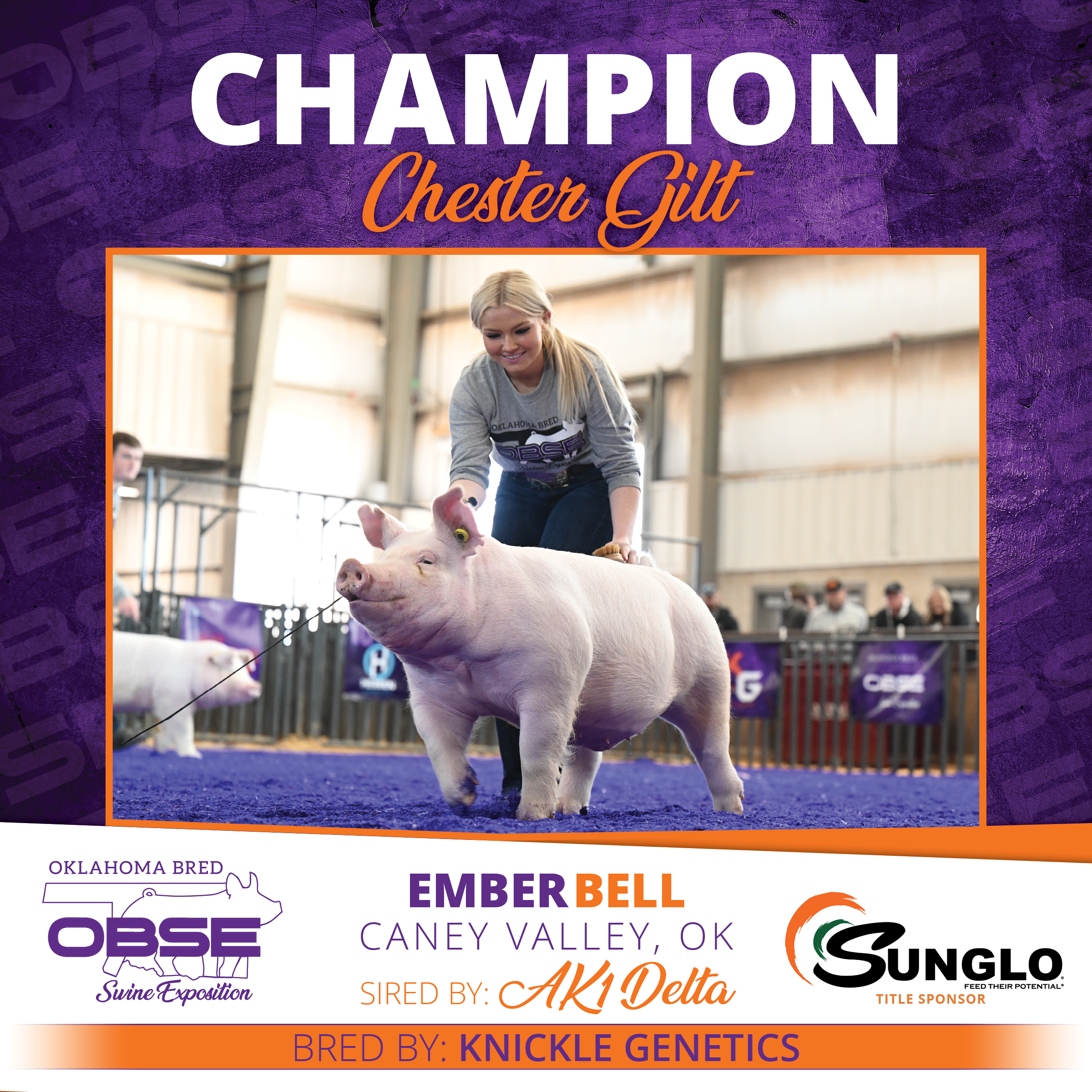 Champion Chester Gilt.png
