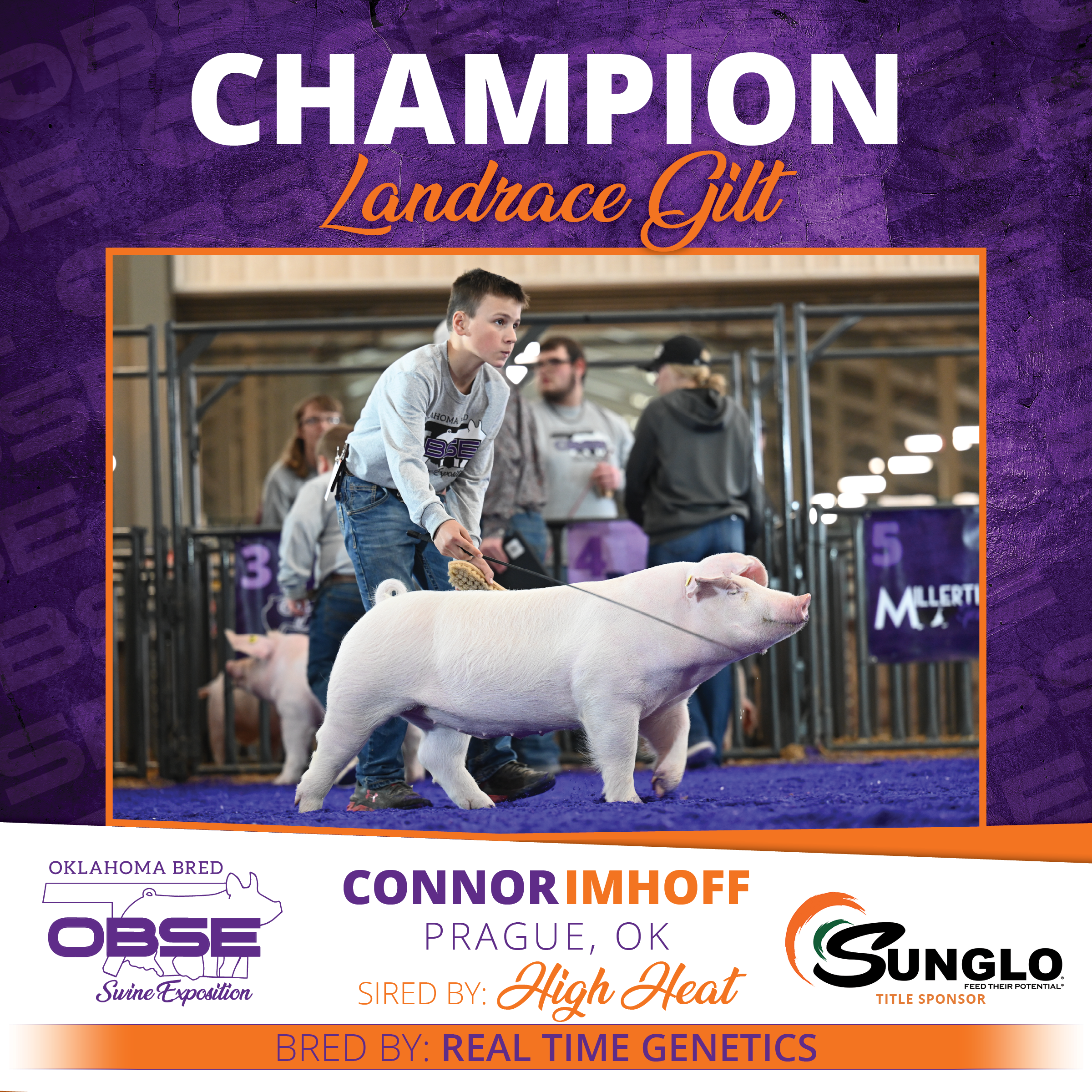 Champion Landrace Gilt.png