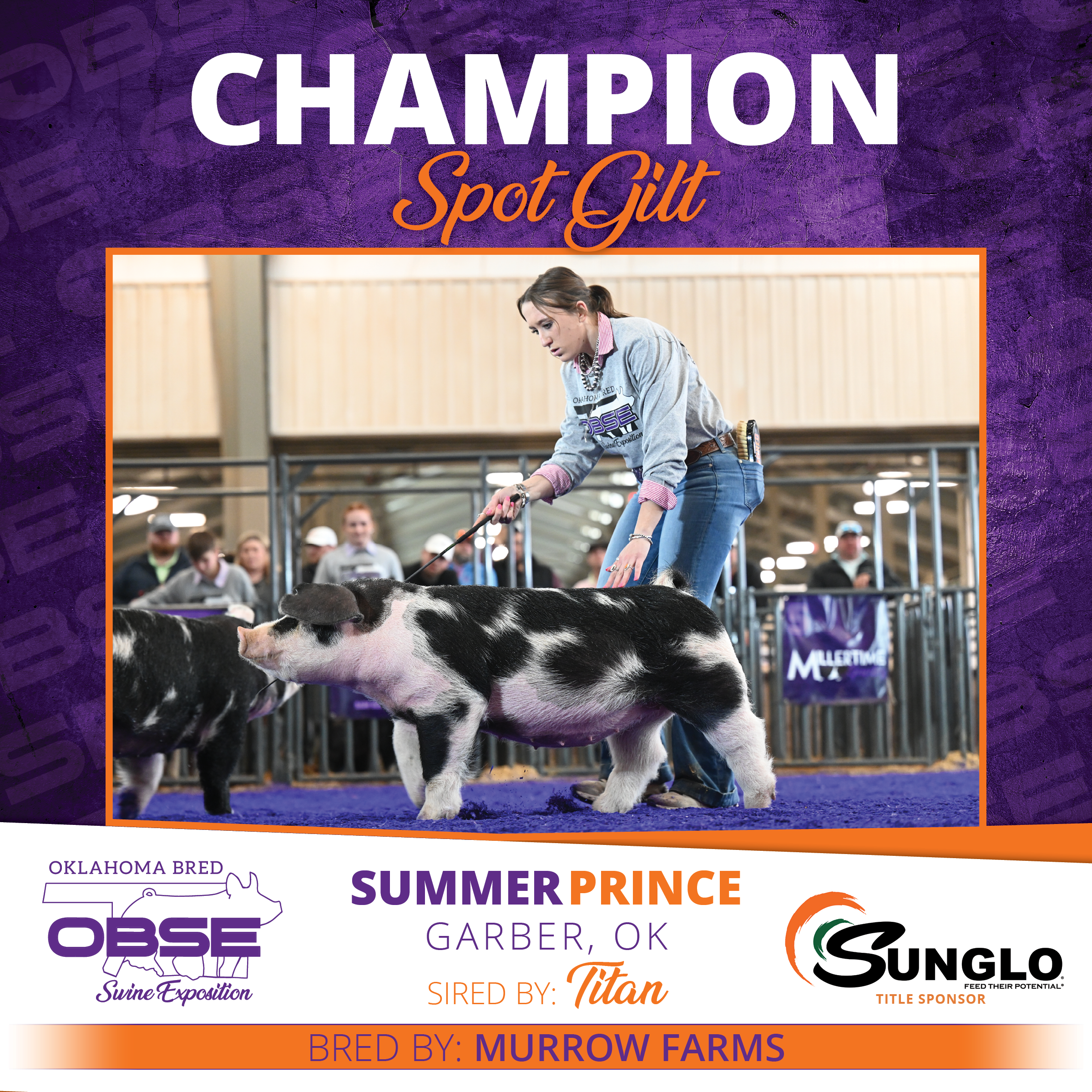 Champion Spot Gilt.png