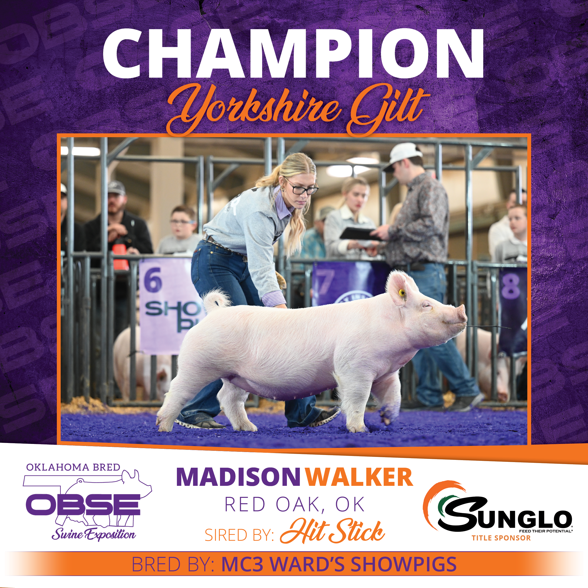 Champion Yorkshire Gilt.png