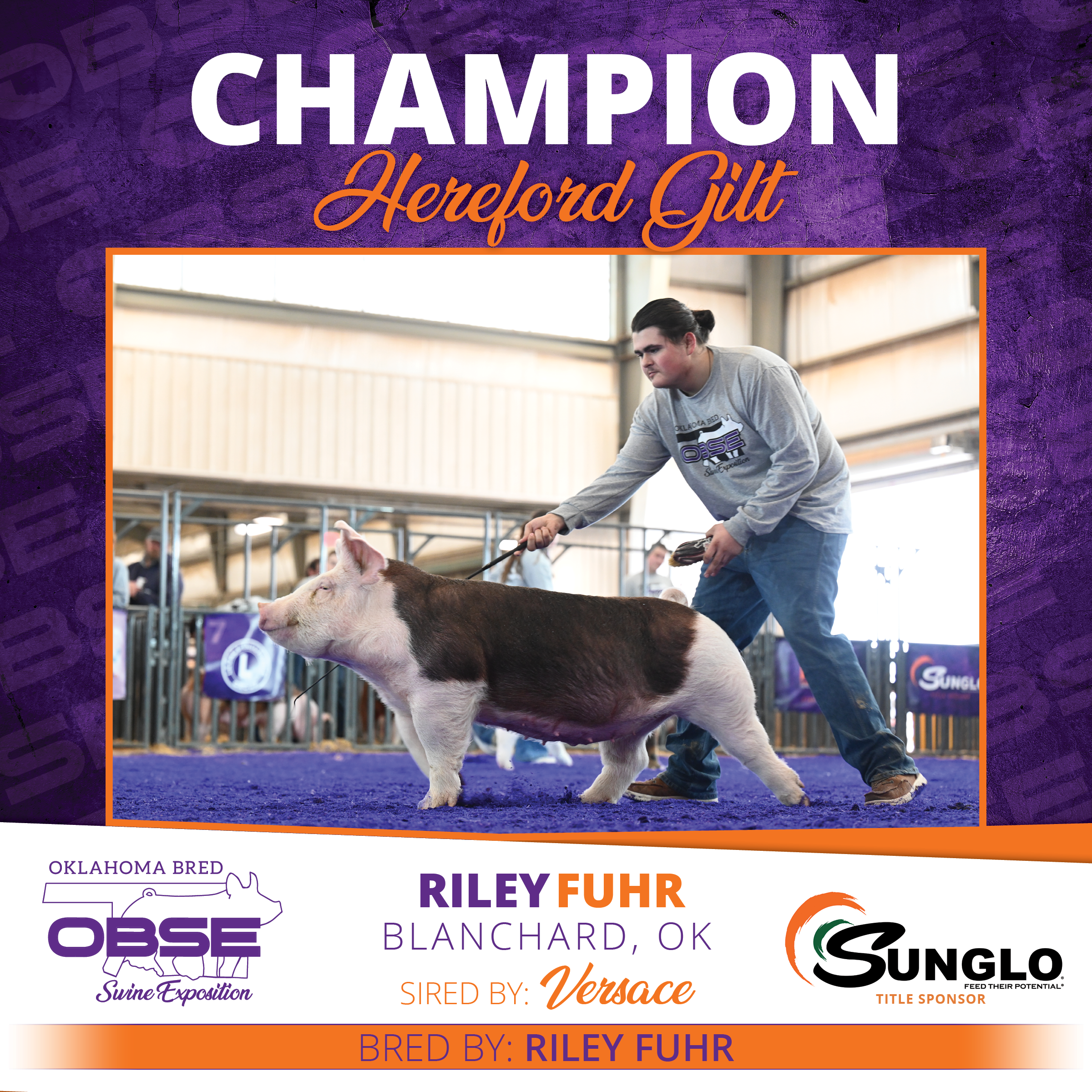 Champion Hereford Gilt (1).png