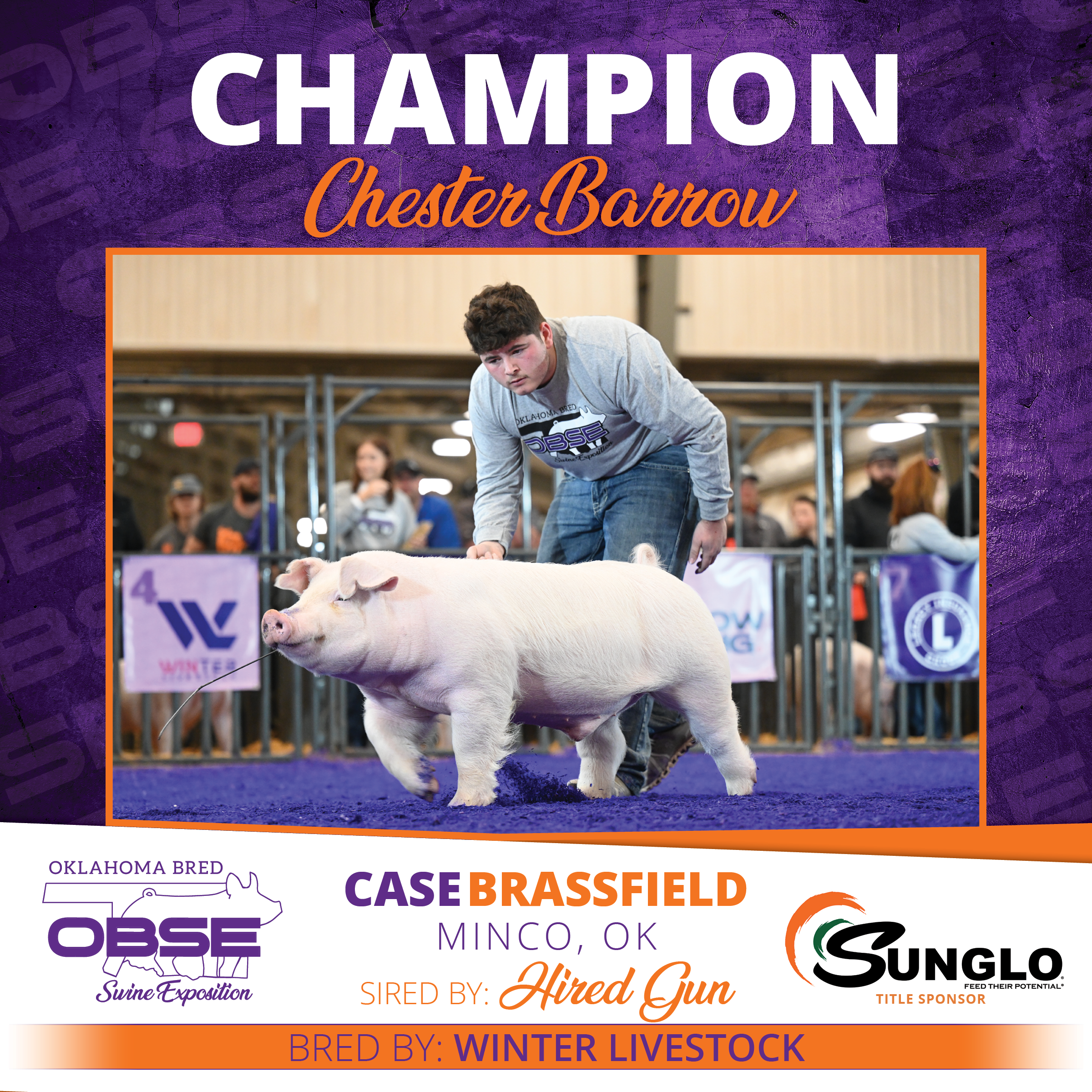 Champion Chester Barrow.png