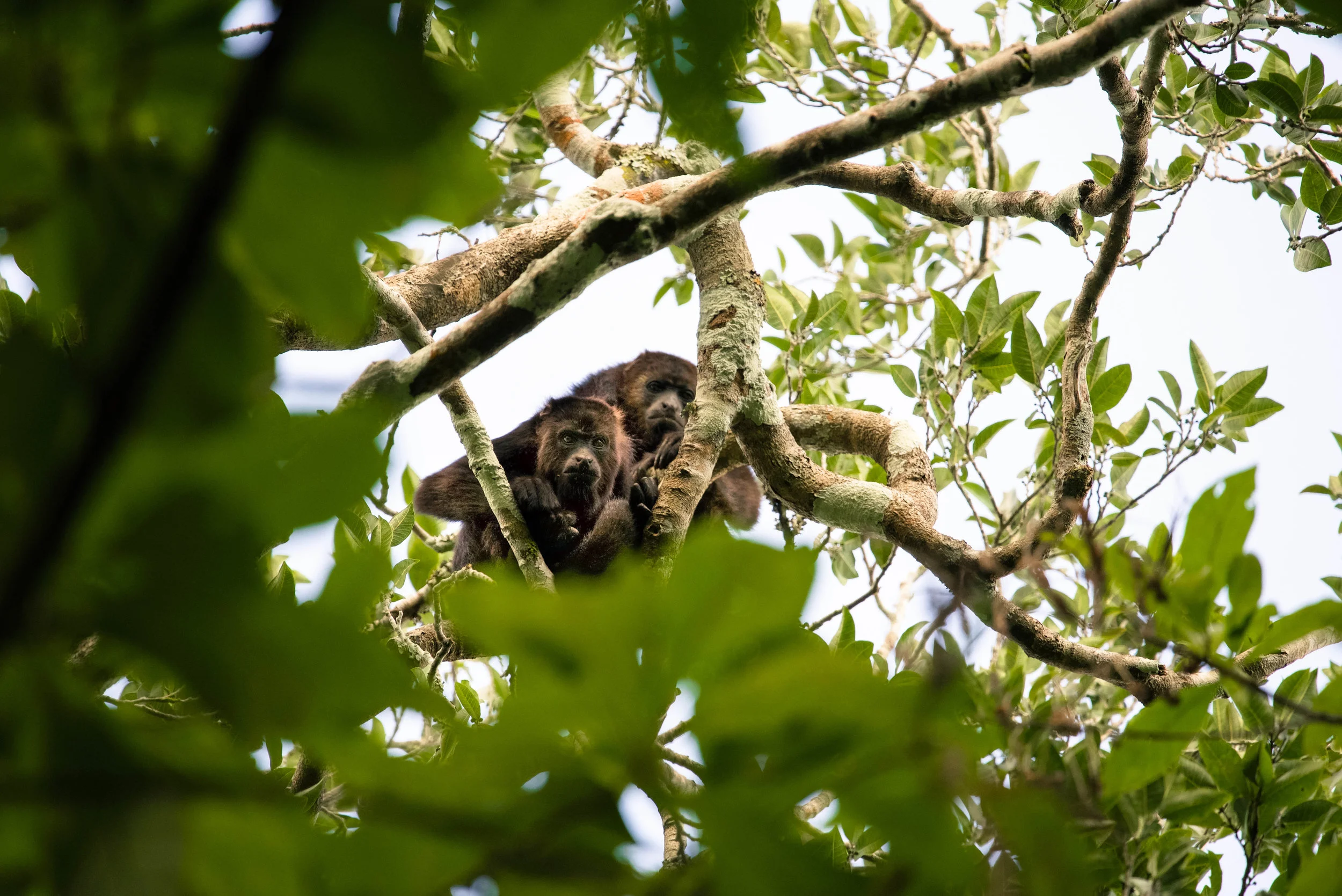guate-belize (211 of 375).jpg