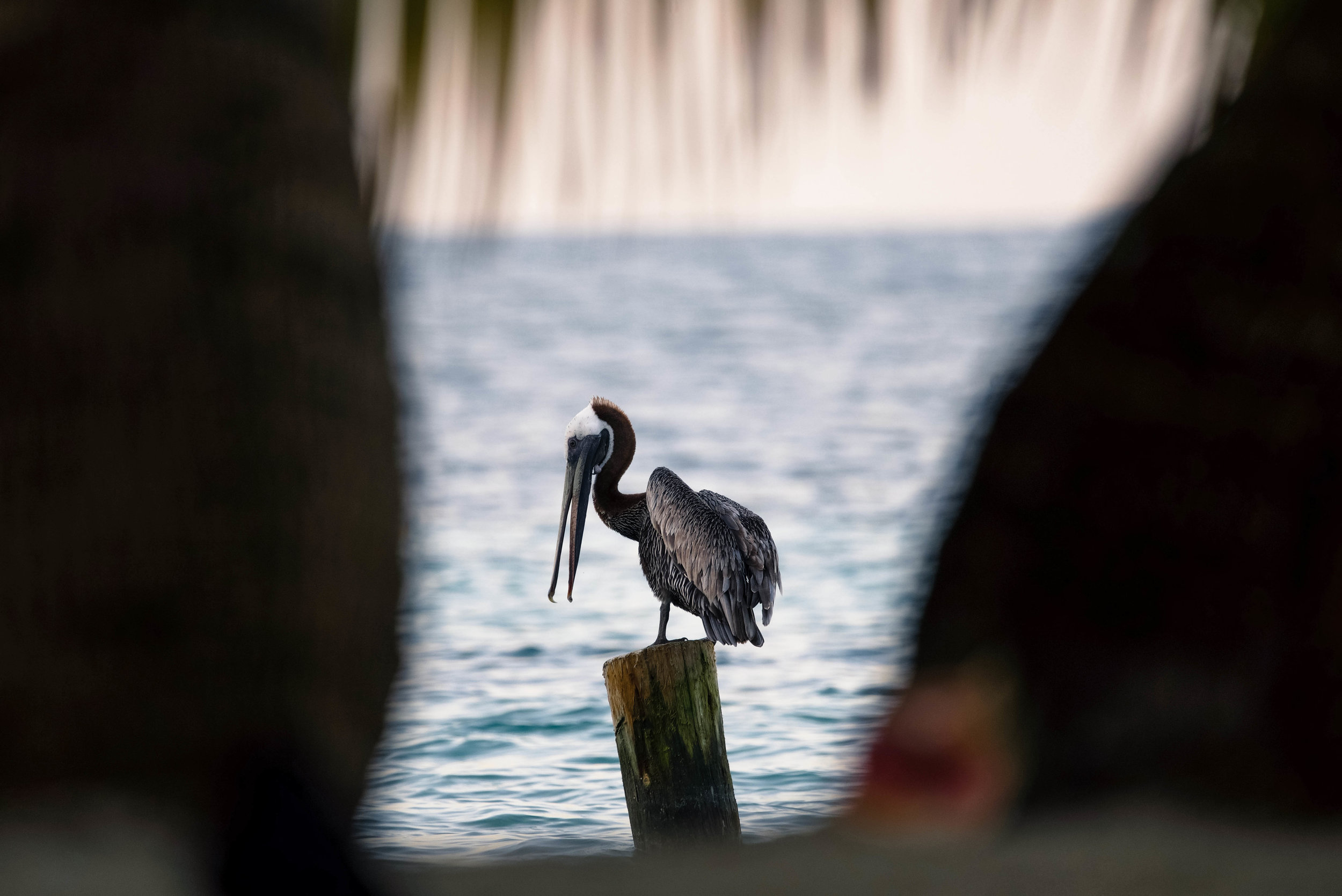 guate-belize (312 of 375).jpg