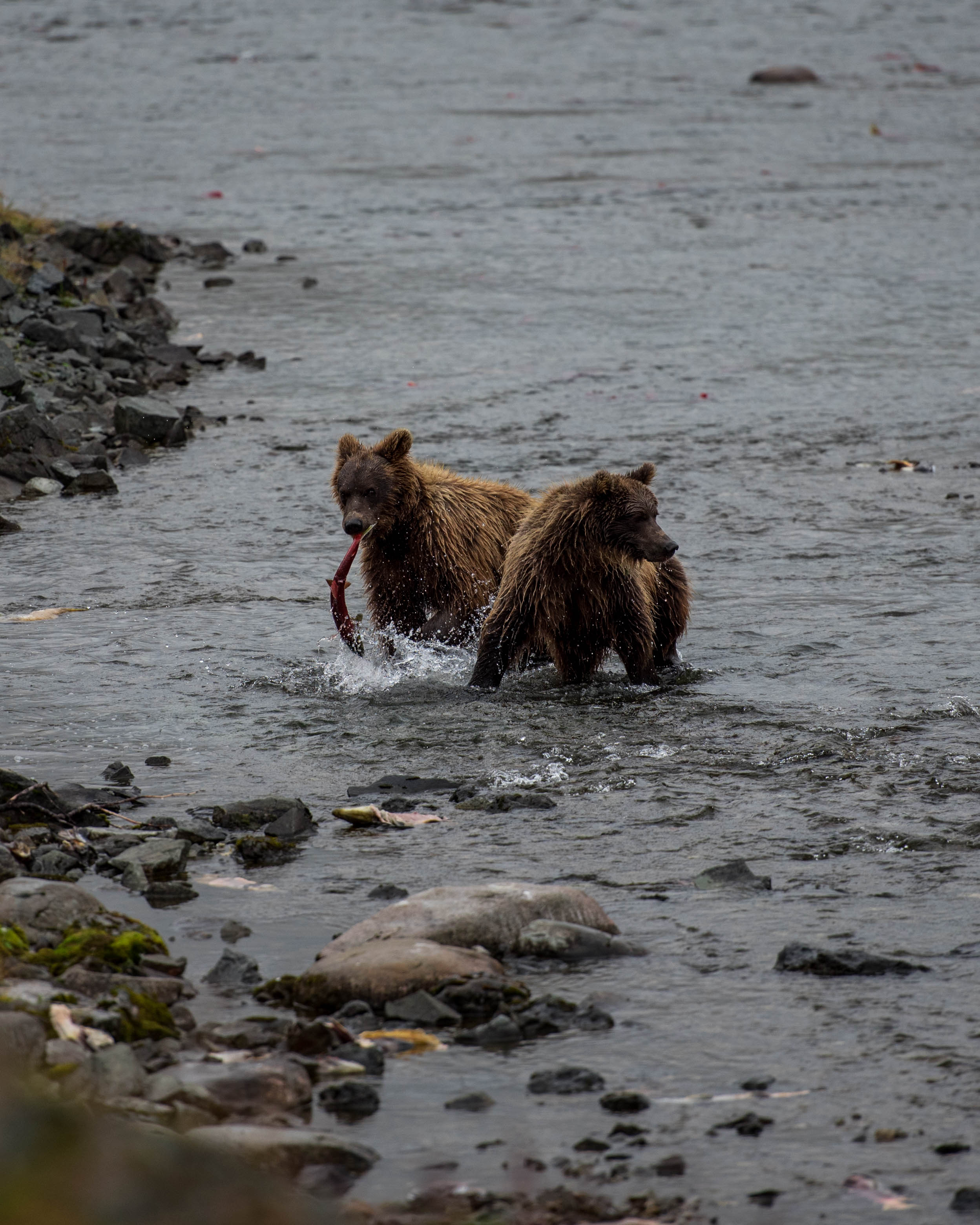 Alaska 2017 (5 of 16).jpg