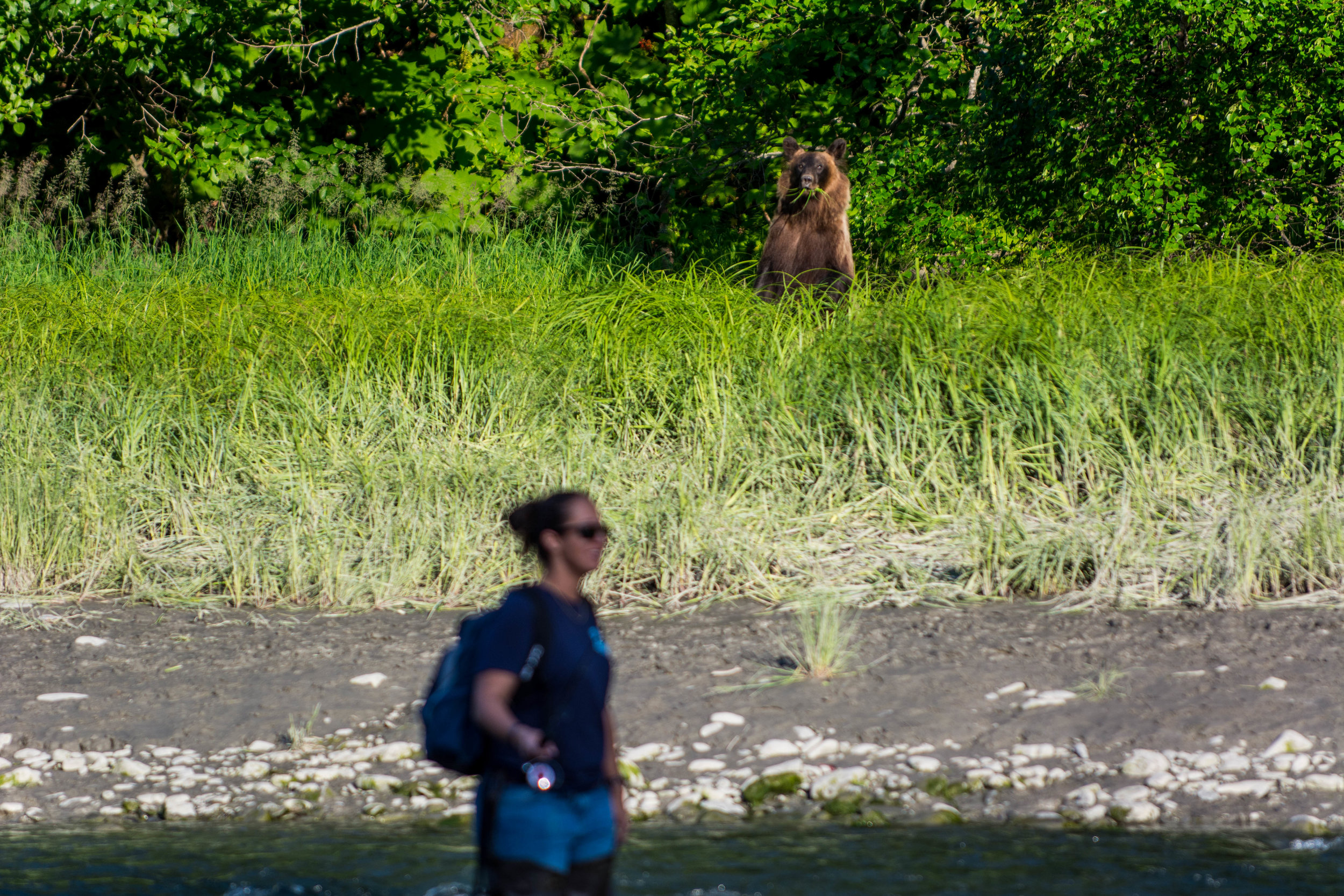 Alaska-1.jpg