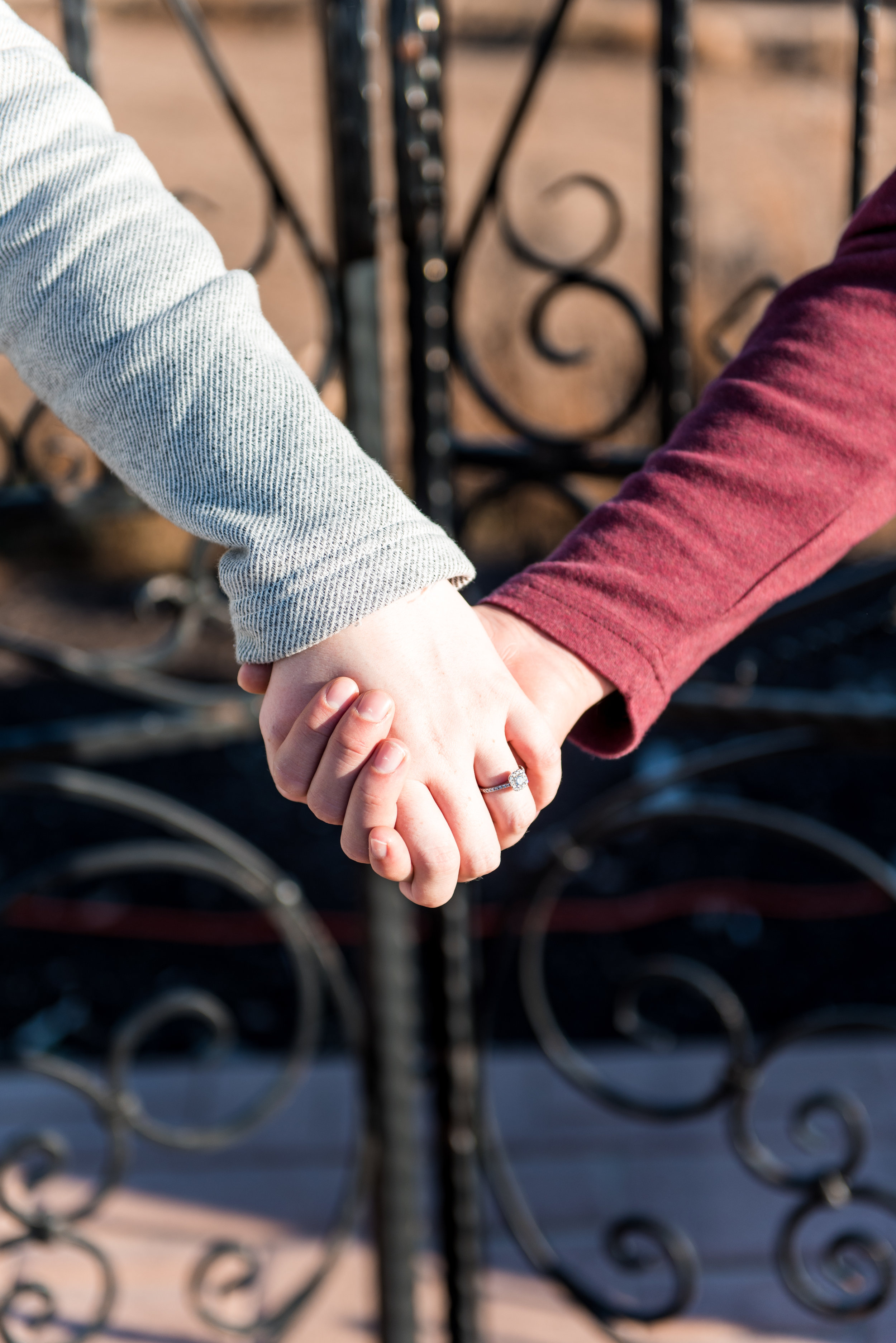 Rachel & Teryn engagement-48.jpg