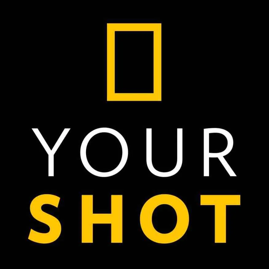 YS_Logo-1.jpg