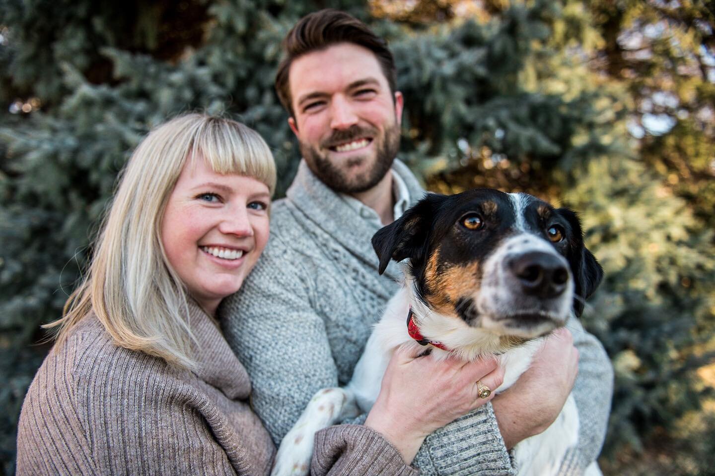 As a reminder, I&rsquo;m still offering discounts on all outdoor photo sessions&mdash;which means more dogs! Dogs love photoshoots. 

Use the code HALF-OFF or BRINGYOURDOG when you book to save 50% on your portrait sessions for individuals, couples, 