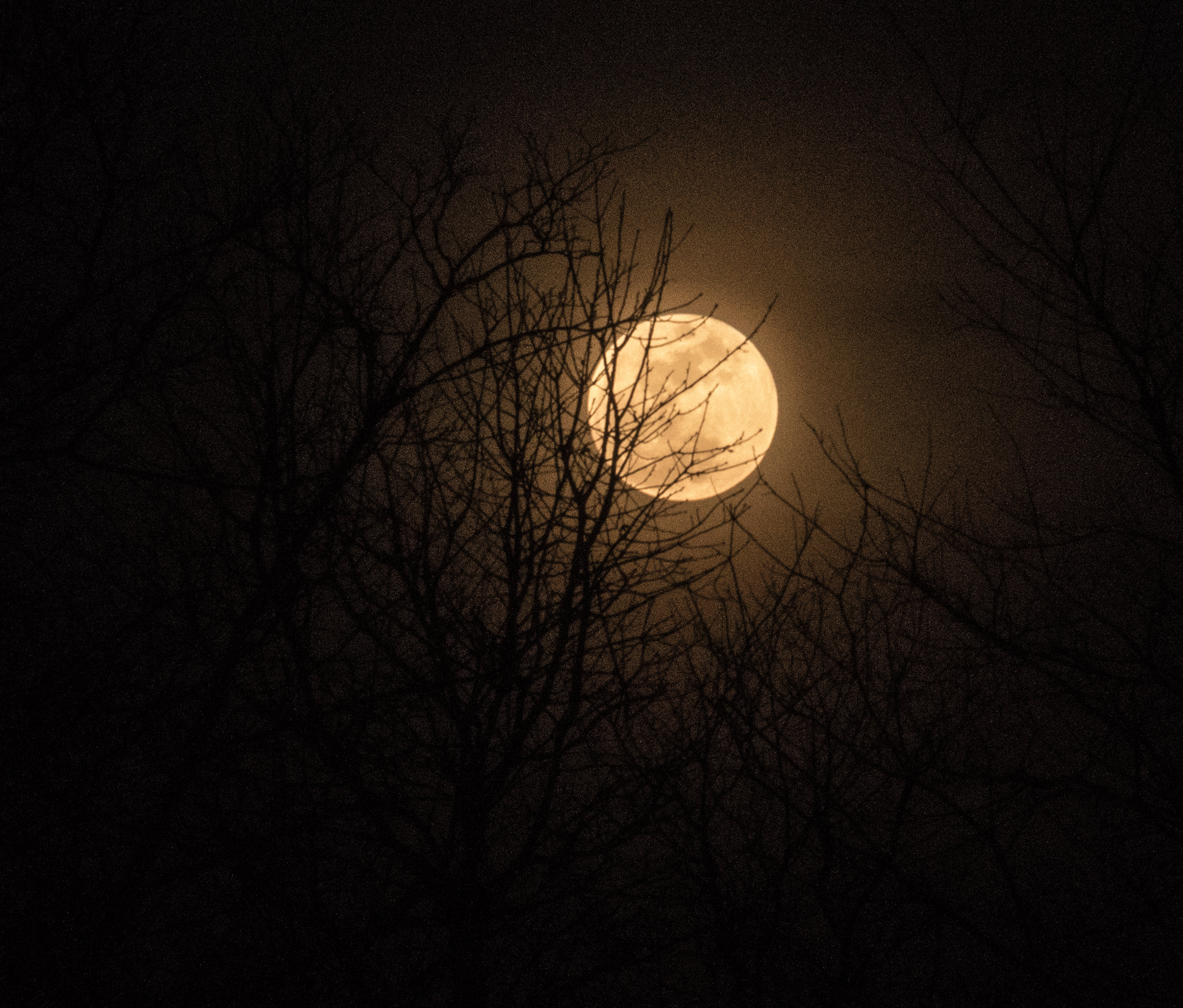 Golden Moon