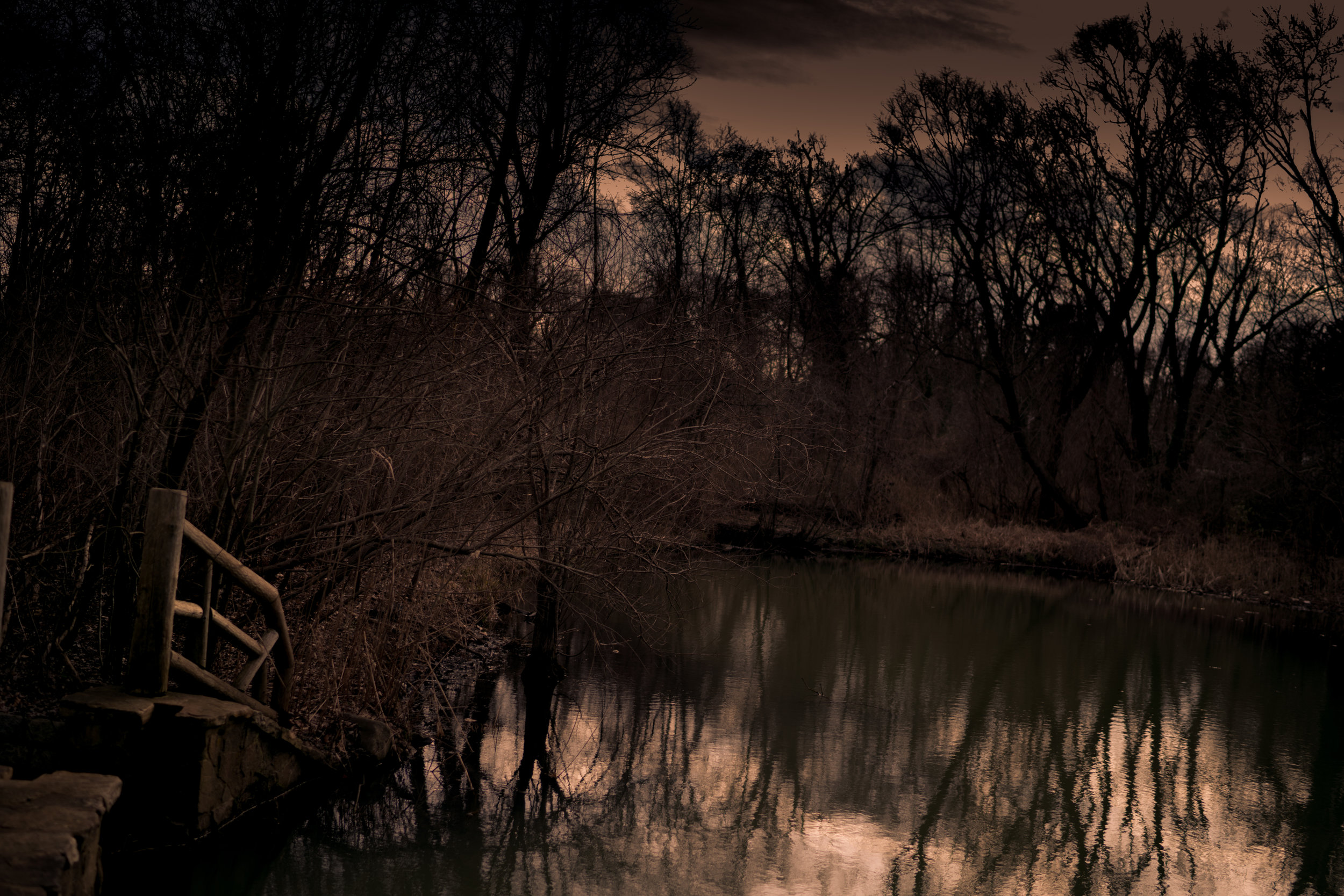 Swampy