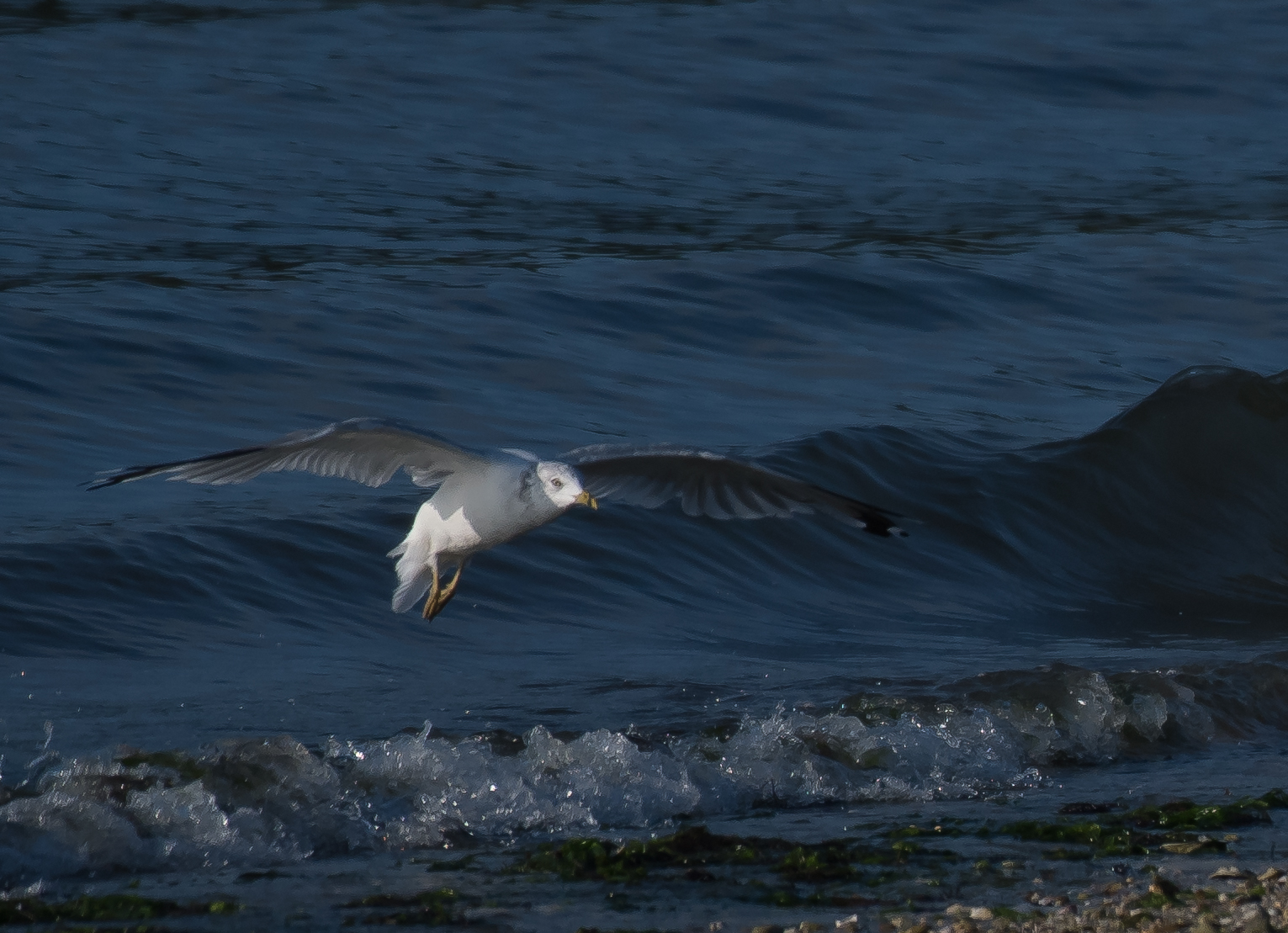Arriving at Shore