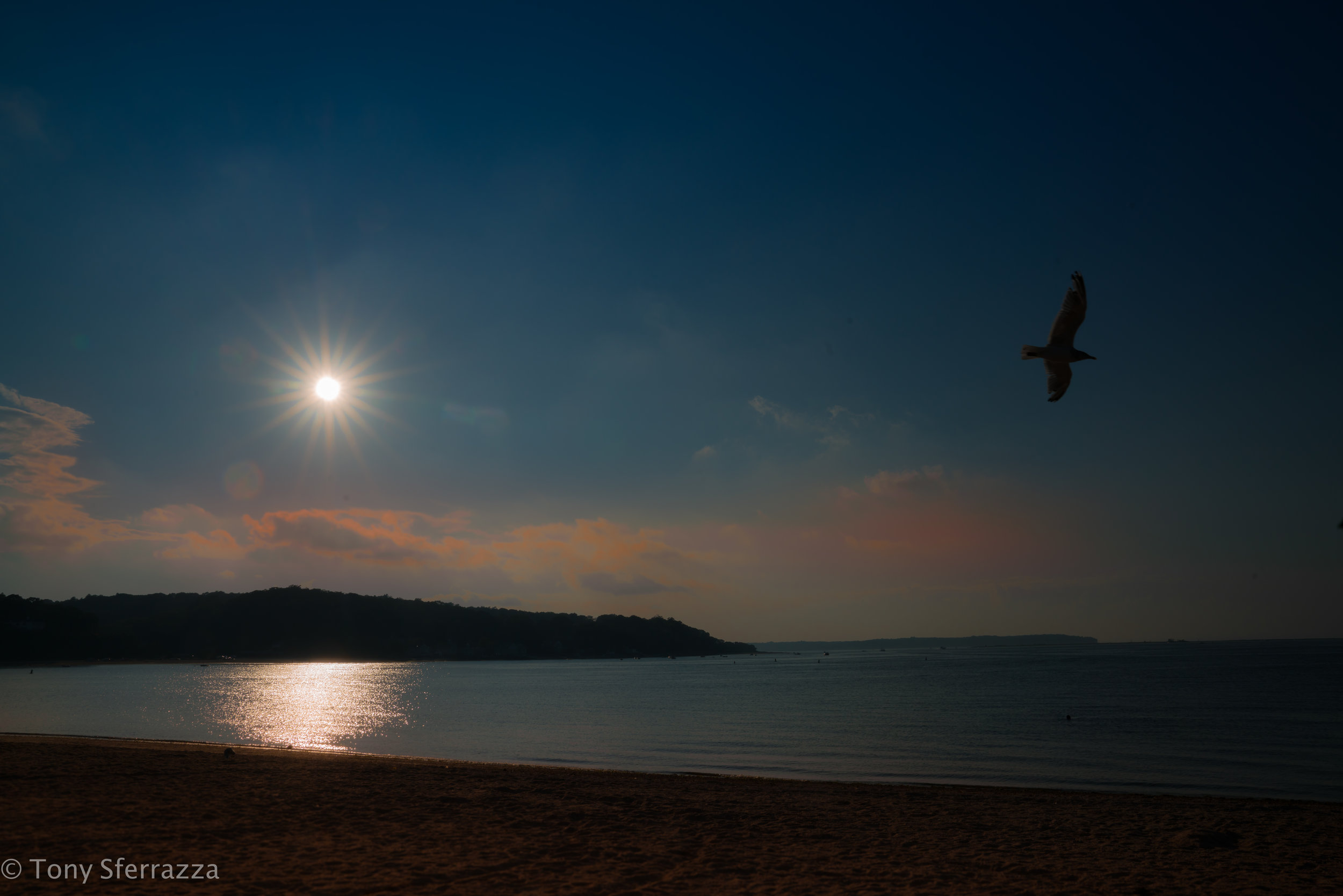 En-Gull-fd Sunset