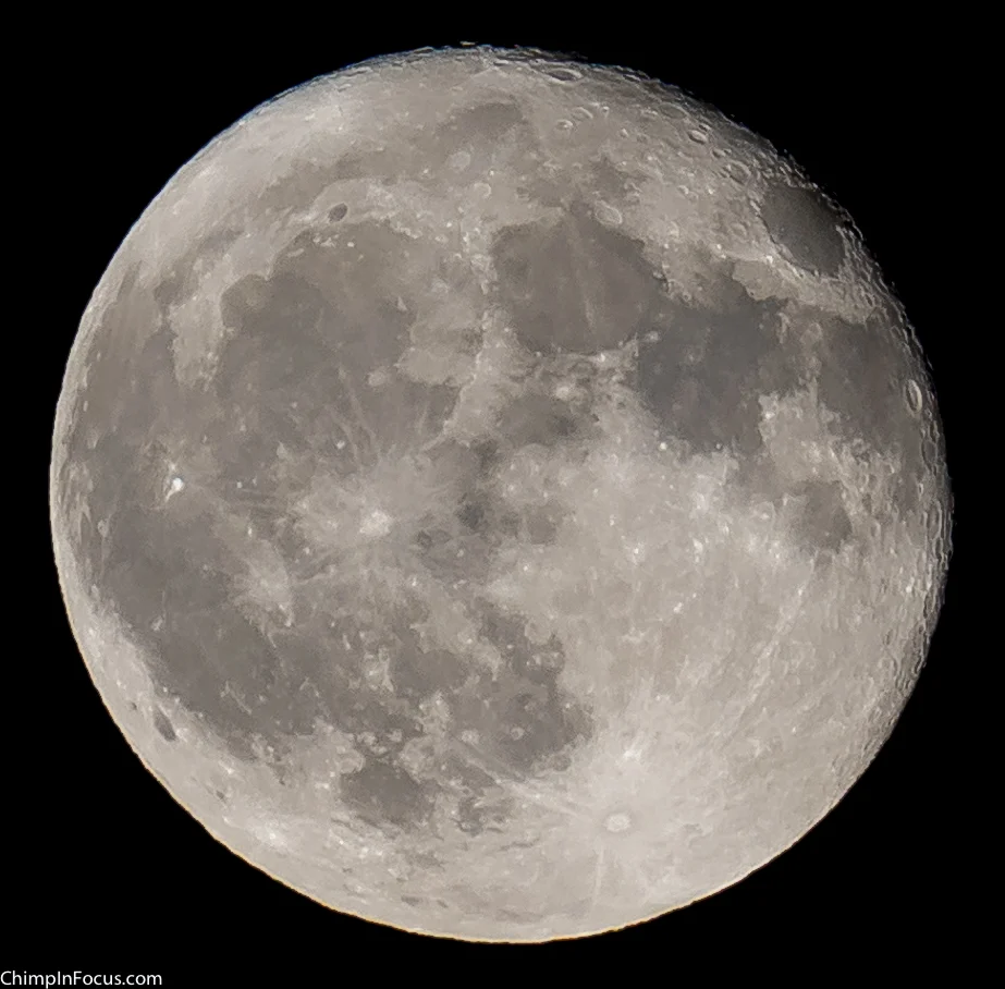 Harvest Moon