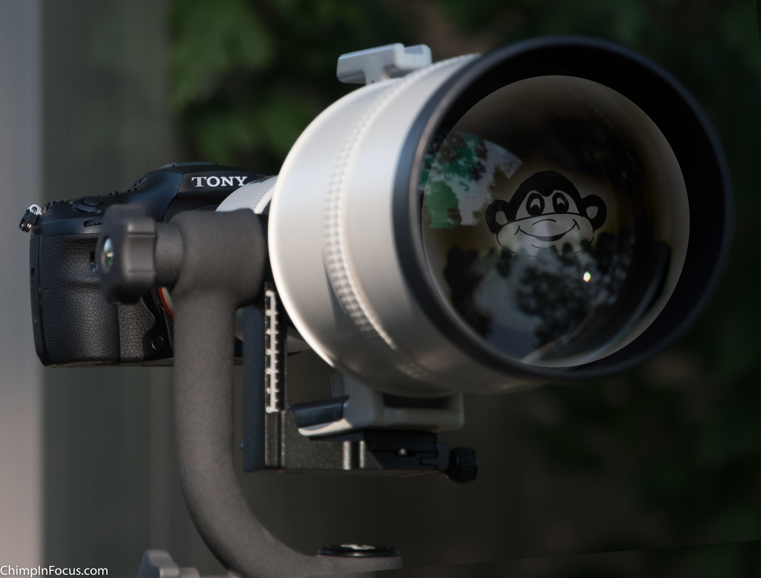 CIF-Tony Camera.jpg