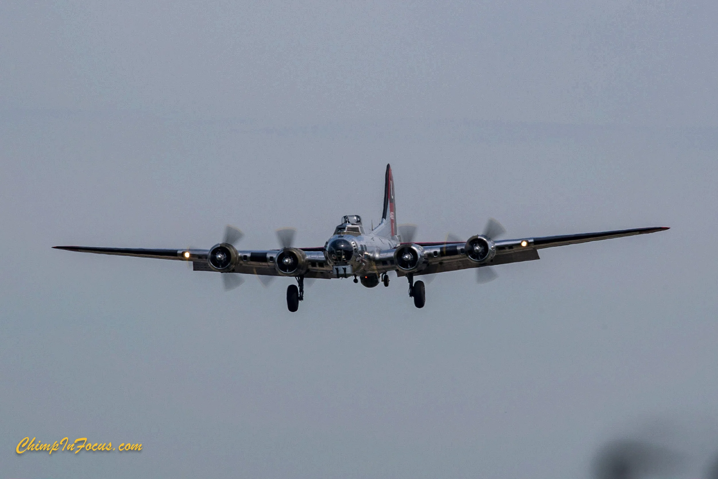 CIF-00067.jpg