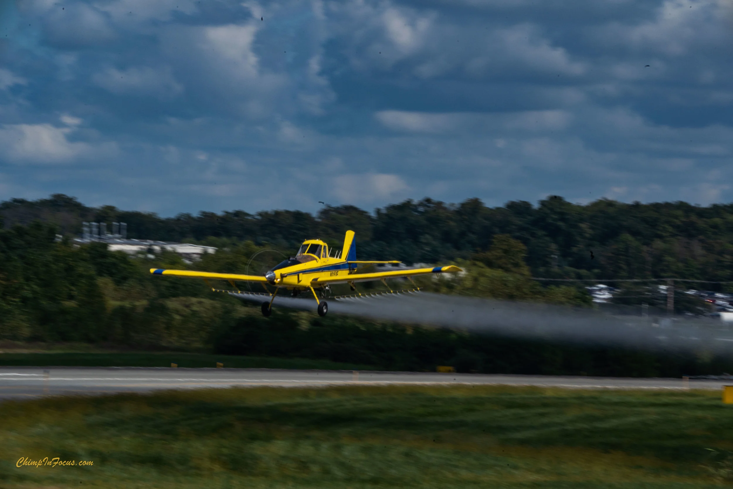 CIF-00020-5.jpg