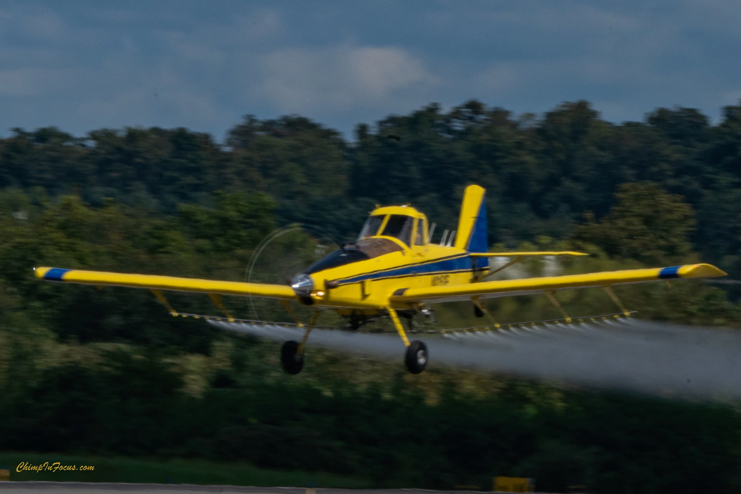 CIF-00021-5.jpg