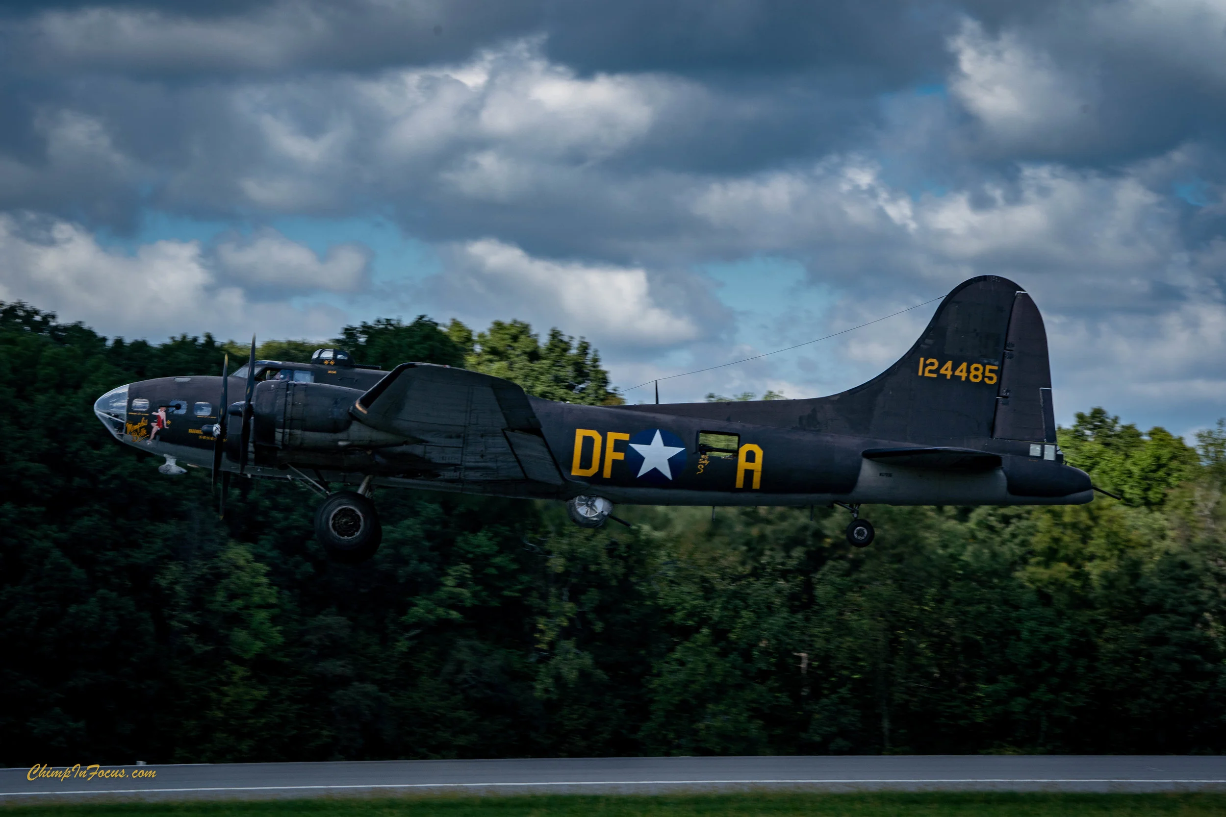 CIF-00032-5.jpg