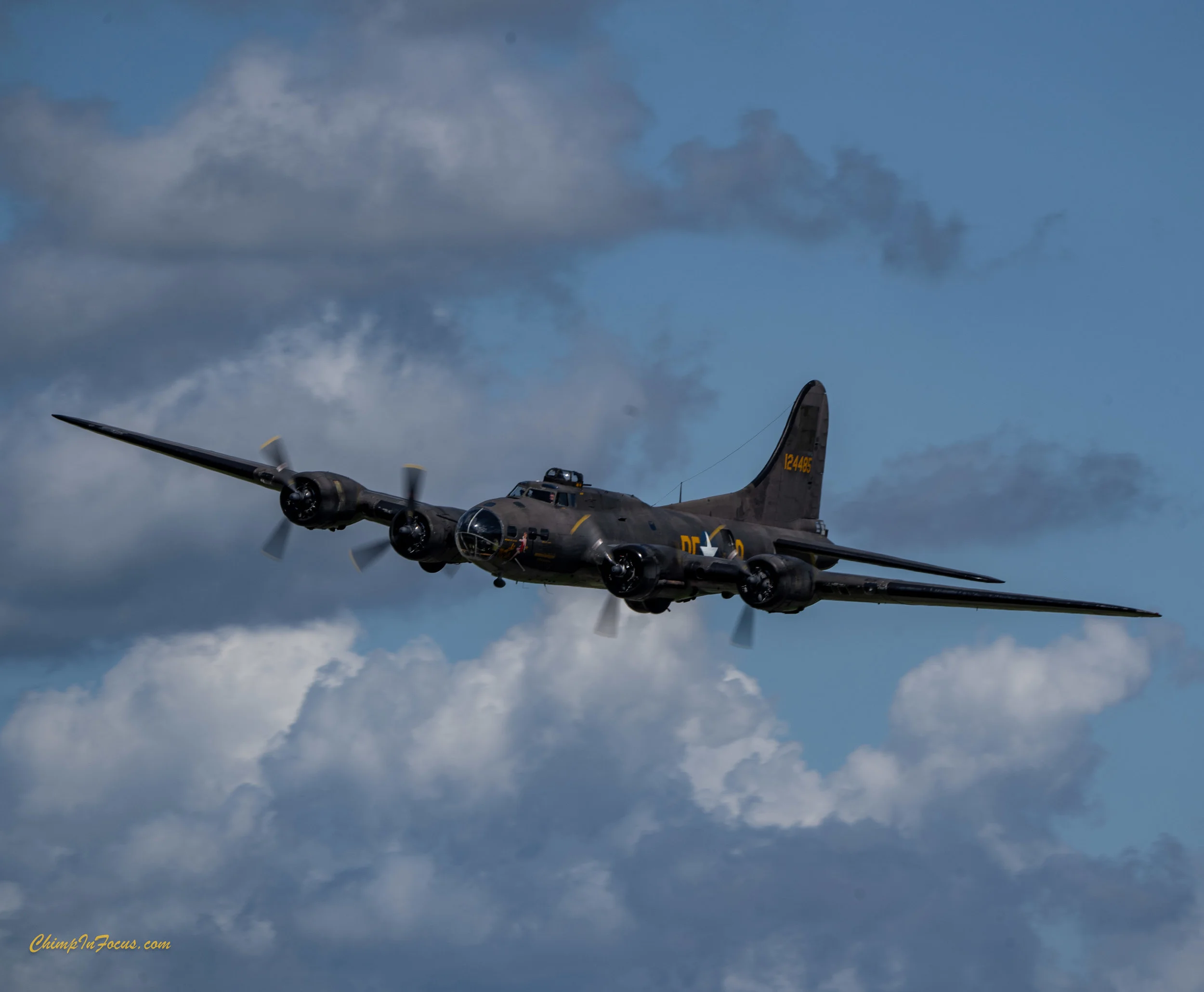 CIF-00036-4.jpg