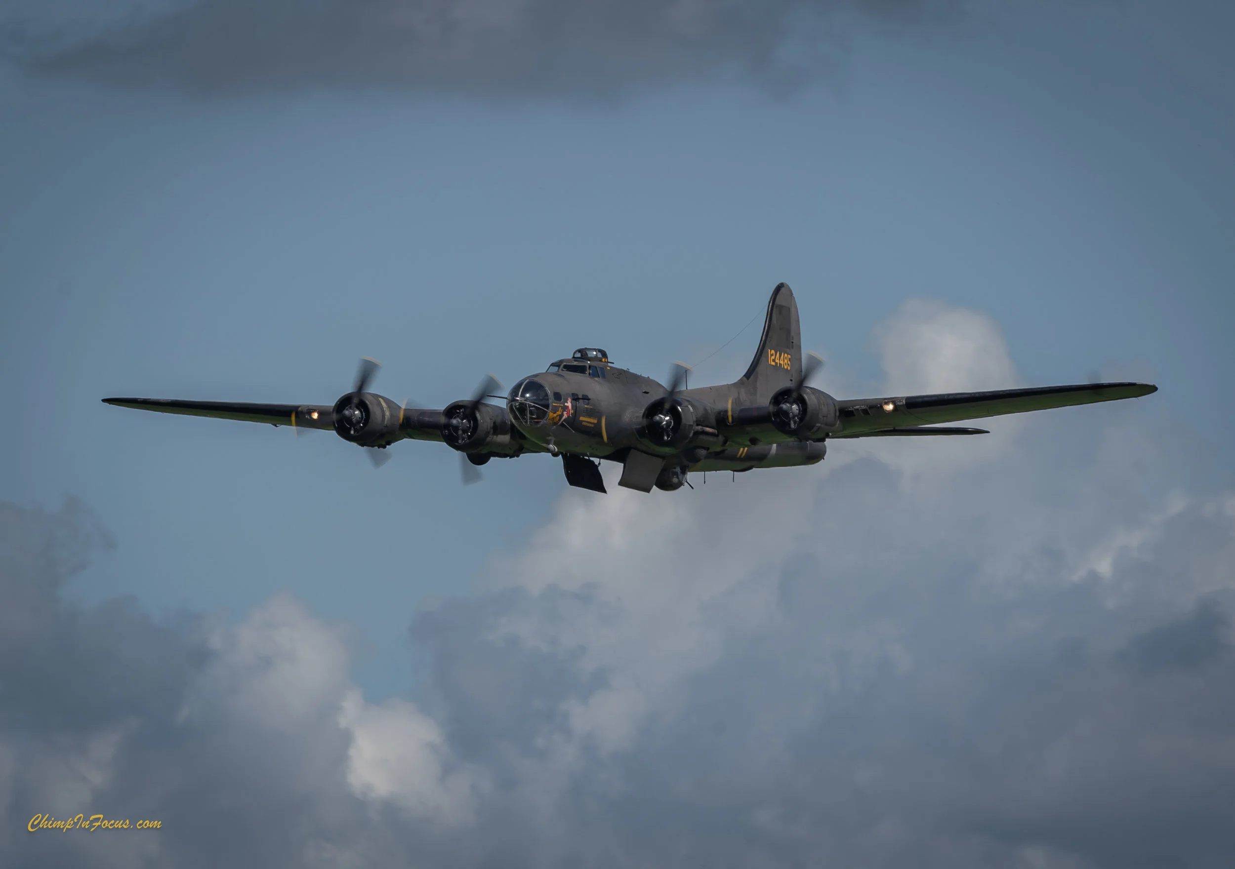 CIF-00043-4.jpg
