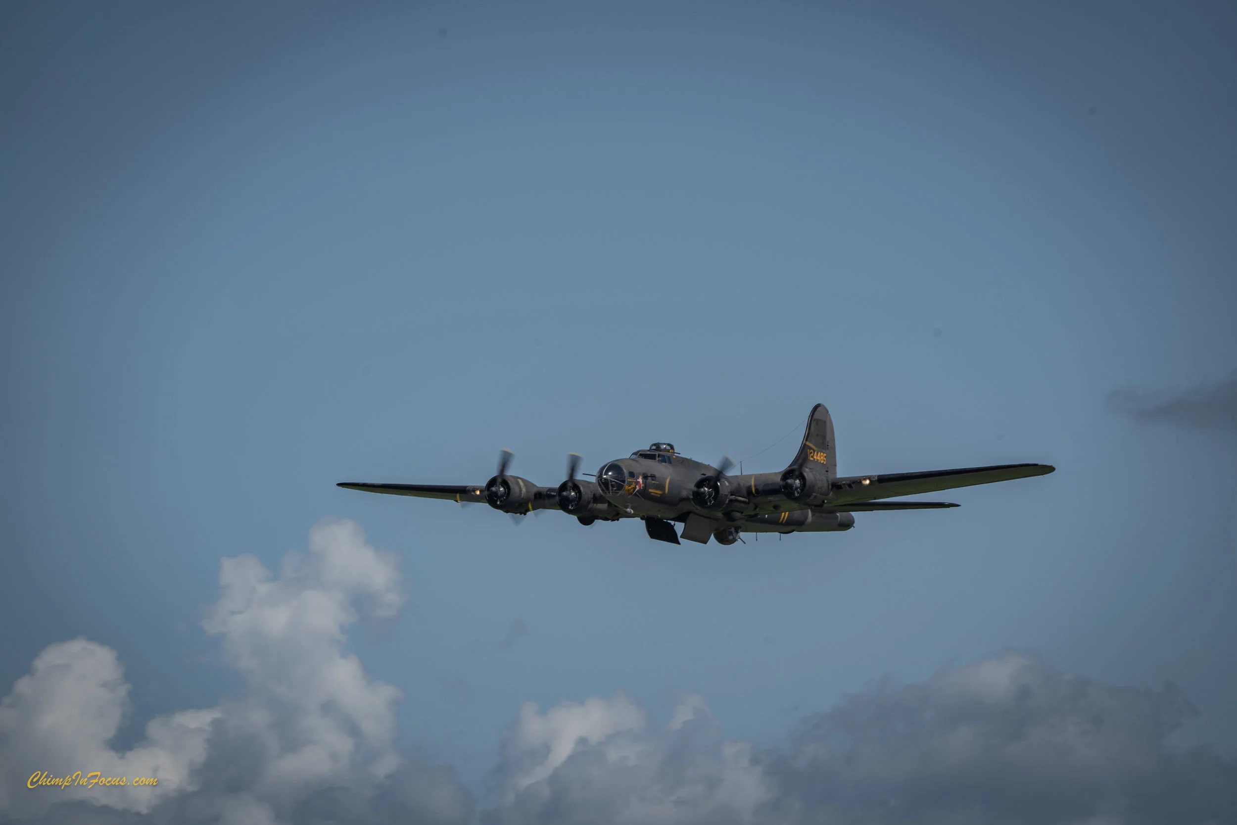 CIF-00045-4.jpg