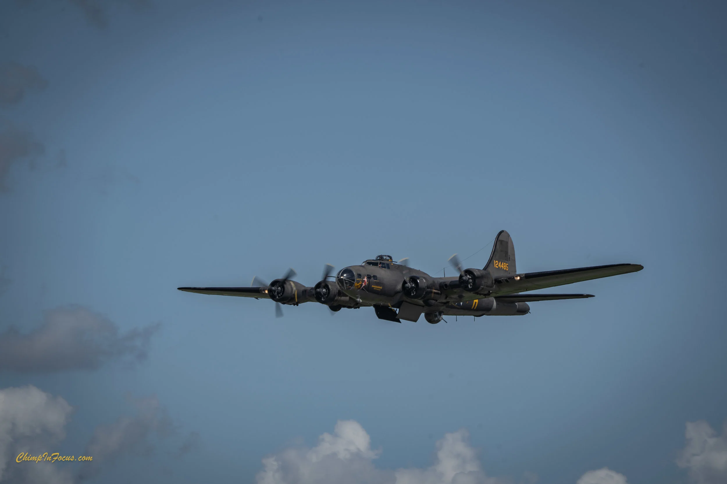 CIF-00047-3.jpg