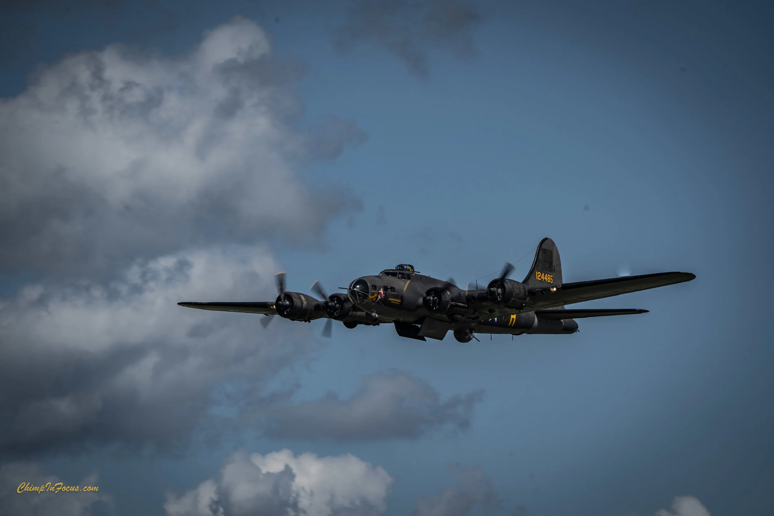 CIF-00050-3.jpg