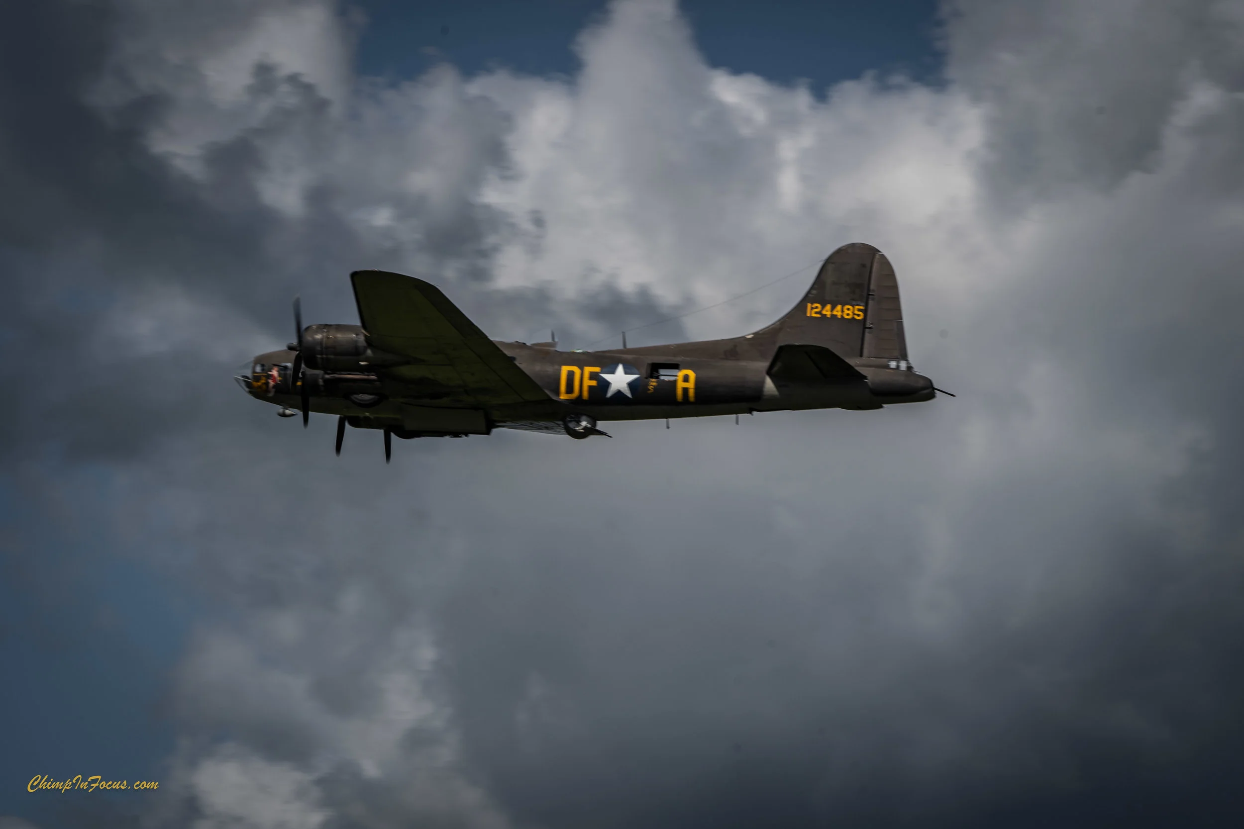 CIF-00068-3.jpg