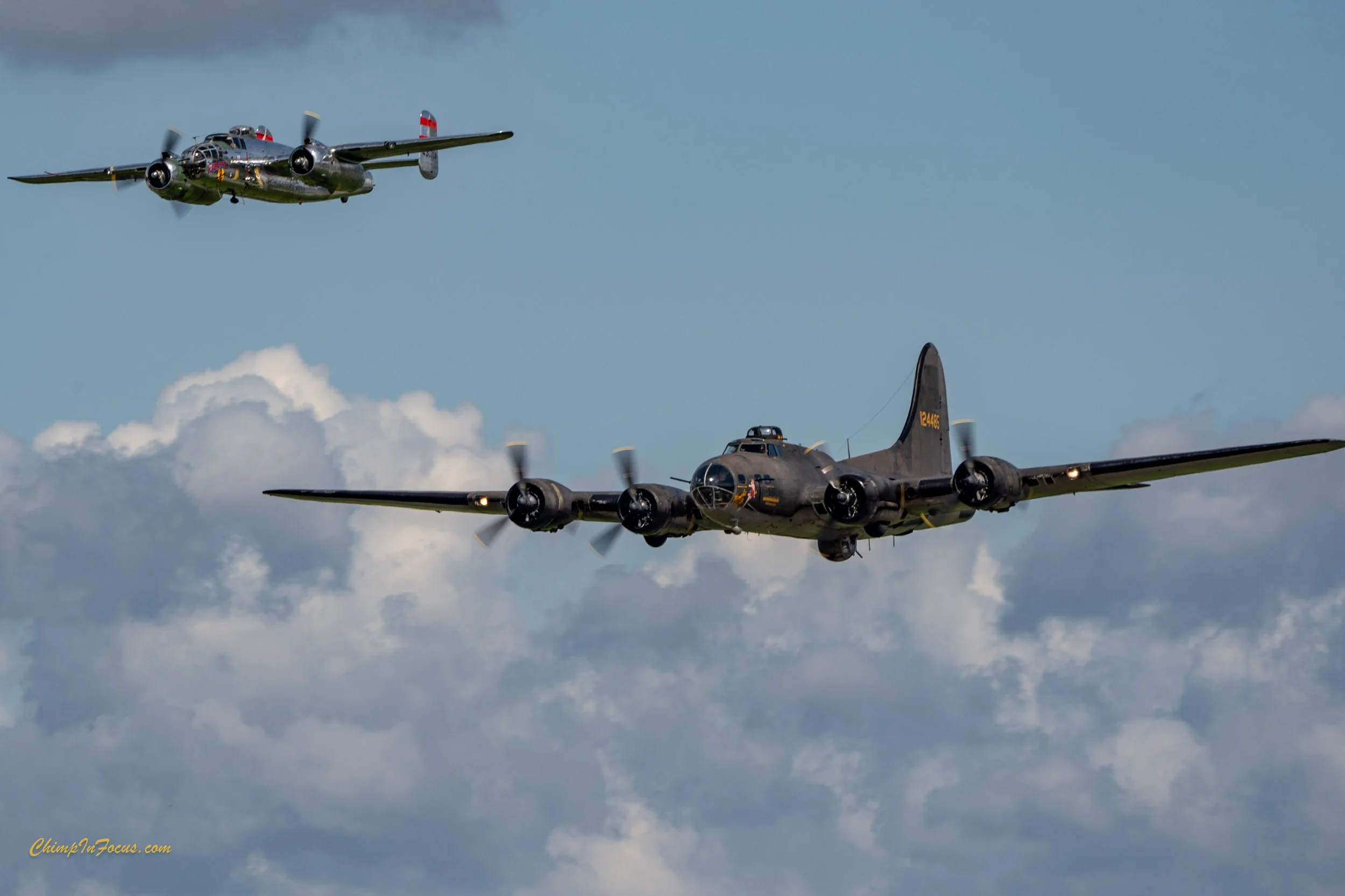 CIF-00077-2.jpg