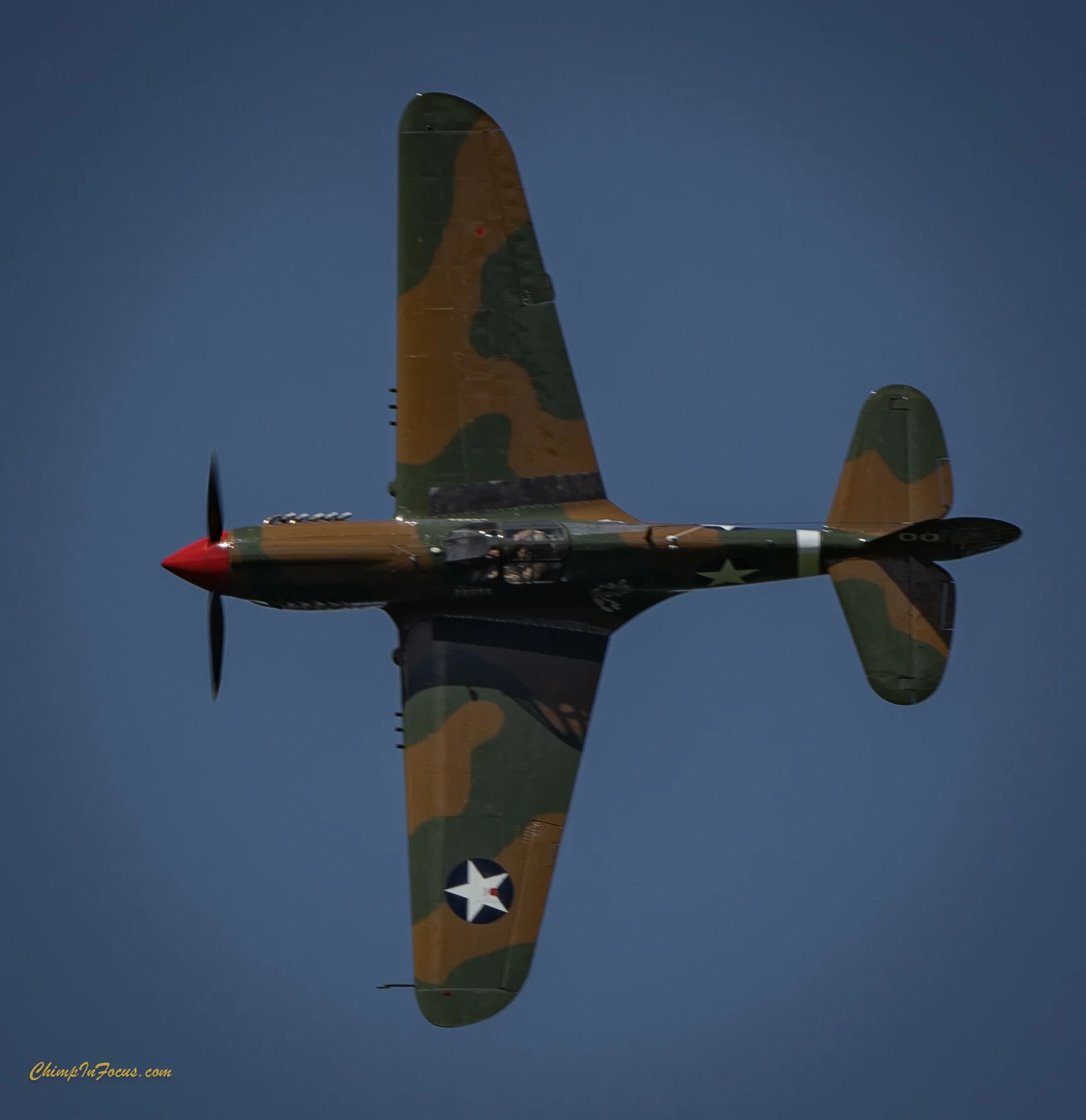 CIF-00114-2.jpg