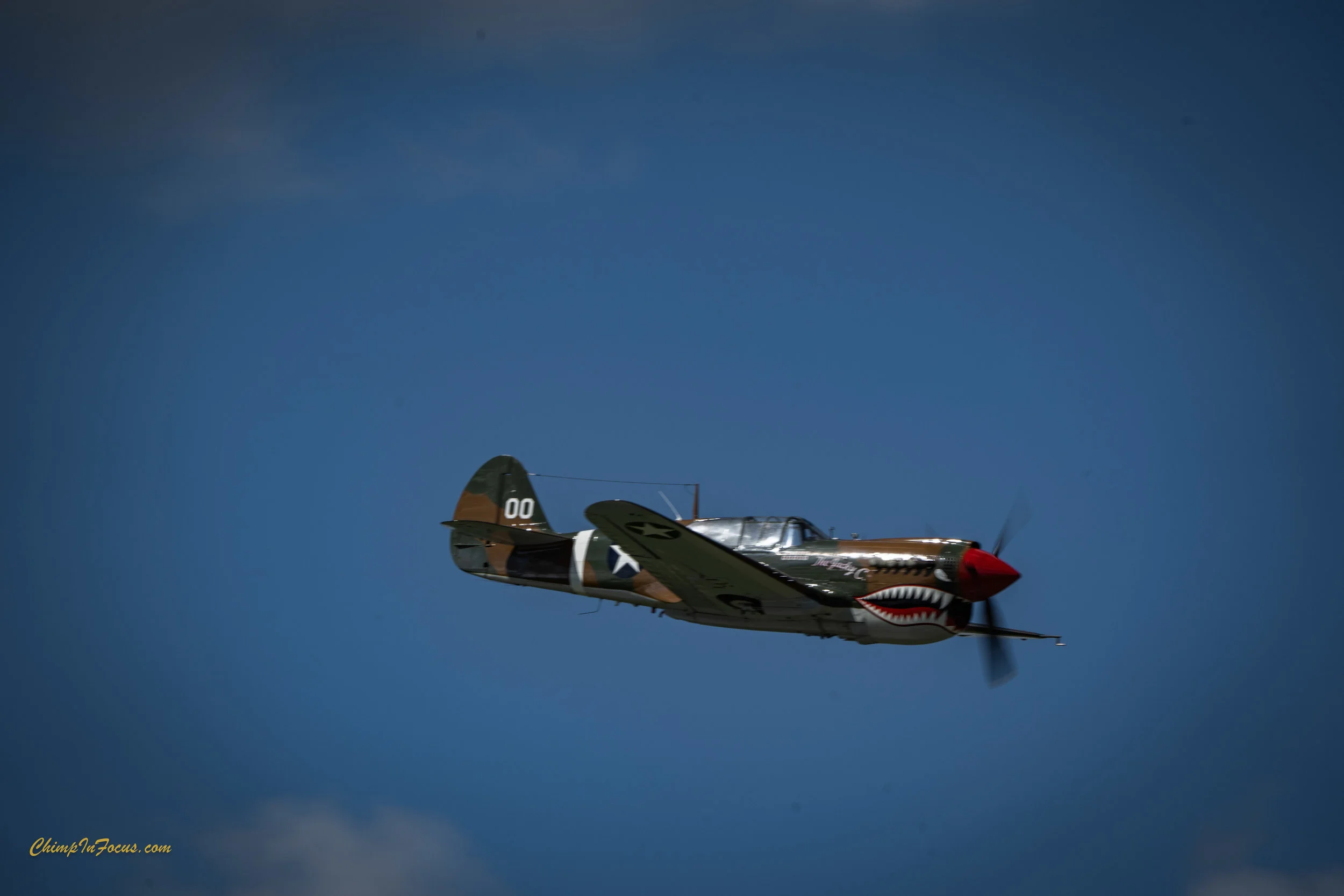 CIF-00118-2.jpg