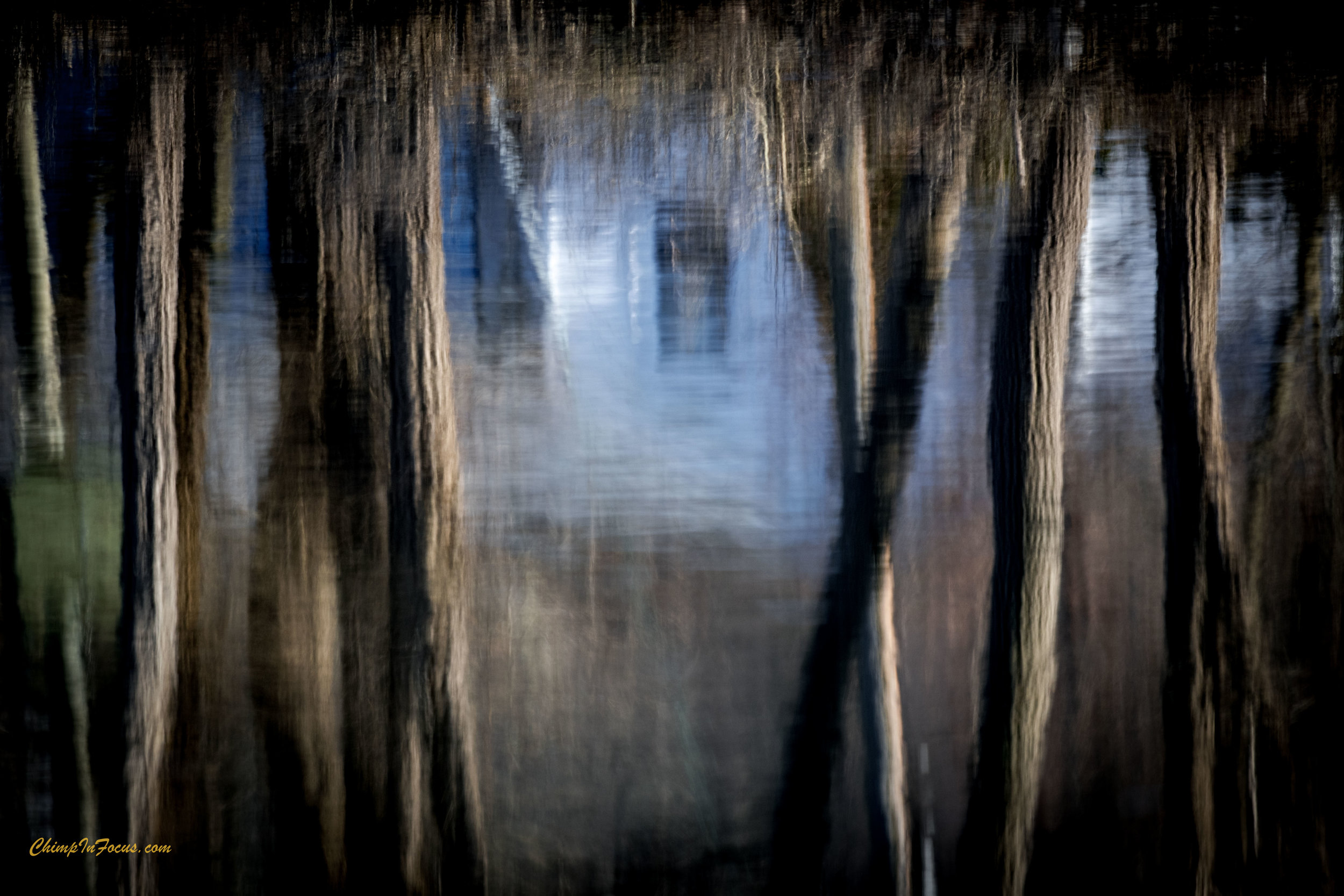 Natural Reflections
