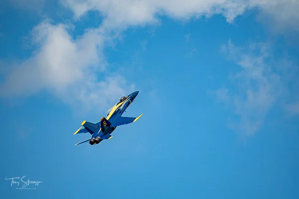 CIF-A09017242019490049.jpg