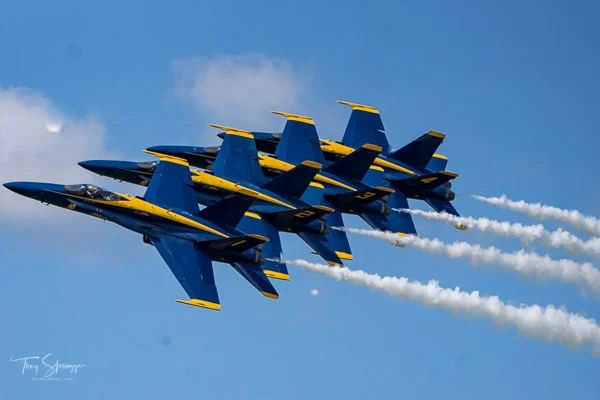 CIF-DSC055512019580058.jpg