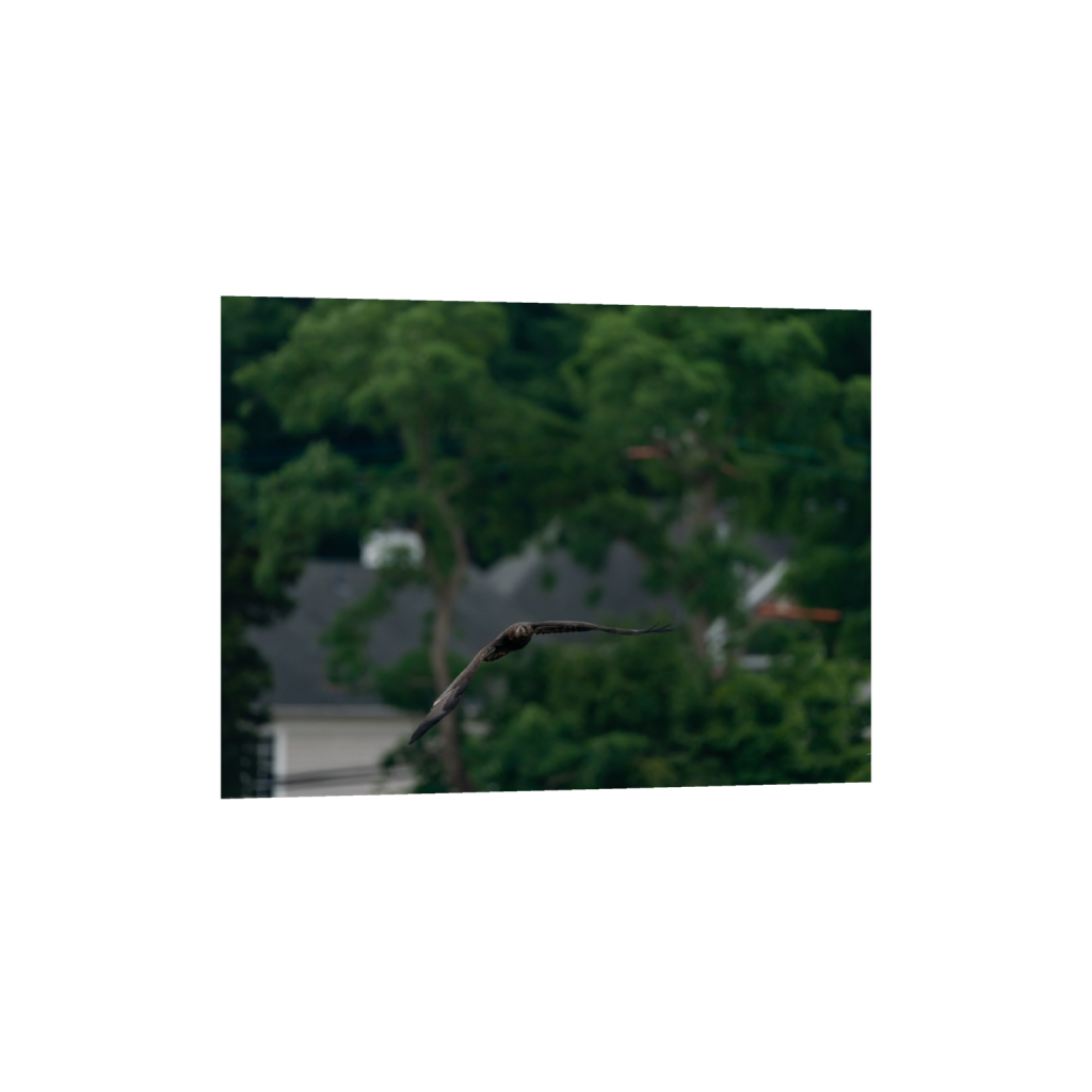 fineartprints_rectangle3_4_333_0_5333_4000_0.png