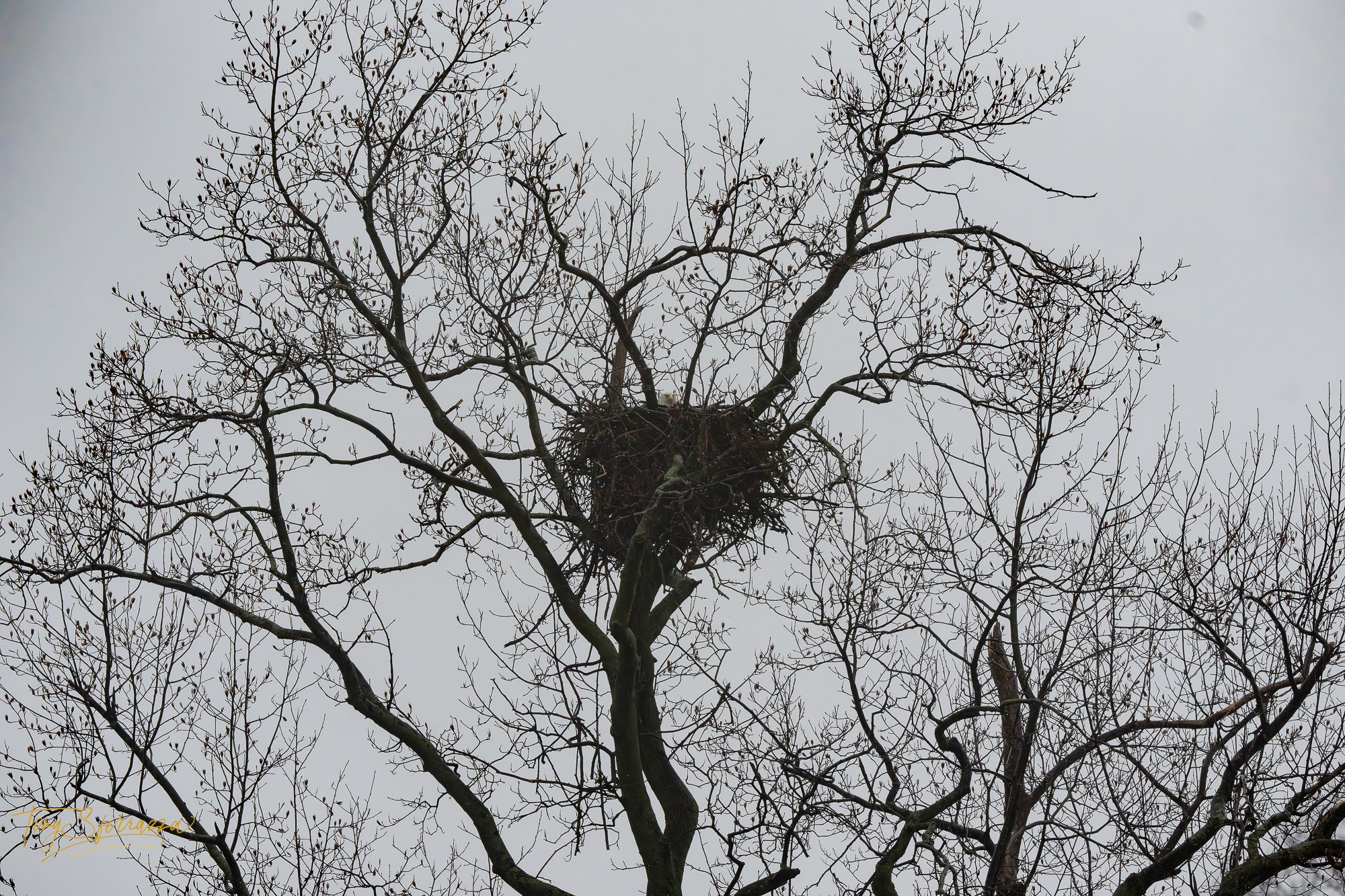 FB-SA103628-Enhanced-NR-March 02, 2024.jpg