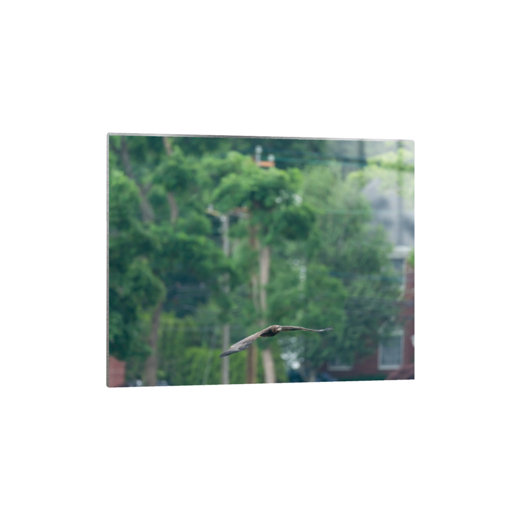 ptq_13_6_500_0_5000_4000_0_false_ffffff_0_0_.png