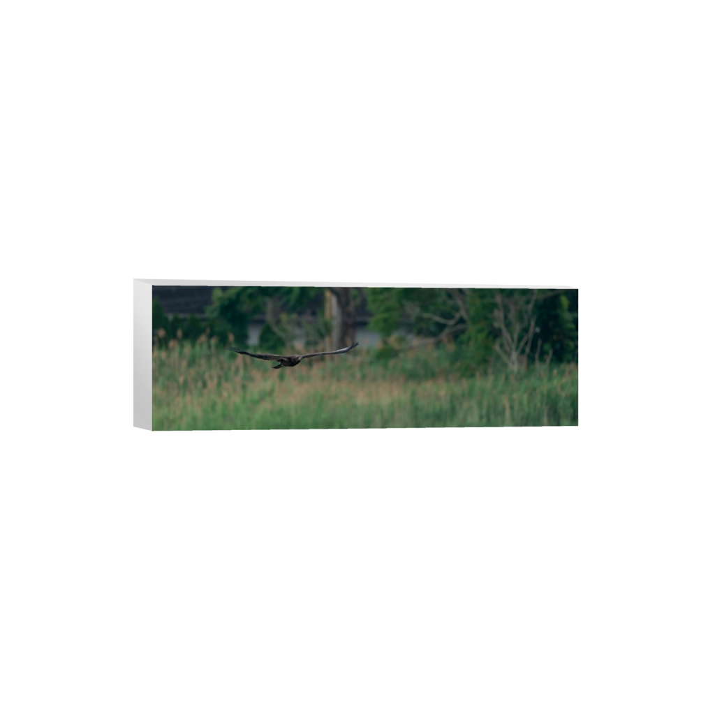 ptq_7_2_0_1000_6000_2000_0_false_ffffff_0_0_.png