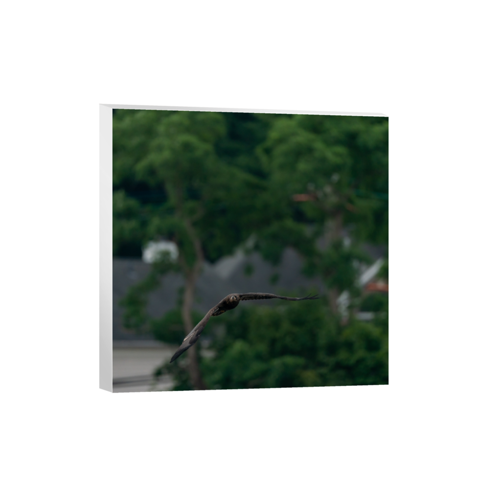 ptq_7_0_1000_0_4000_4000_0_false_ffffff_0_0_.png
