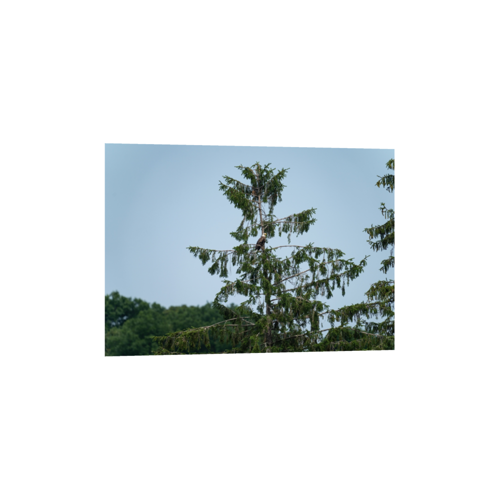 ptq_34_7_315_0_8839_6314_0_false_ffffff_0_0_.png