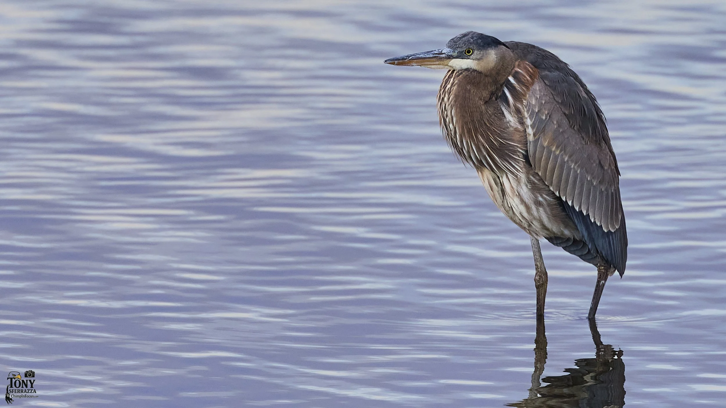 YP - R3__6883-Dec 20 2025.jpg