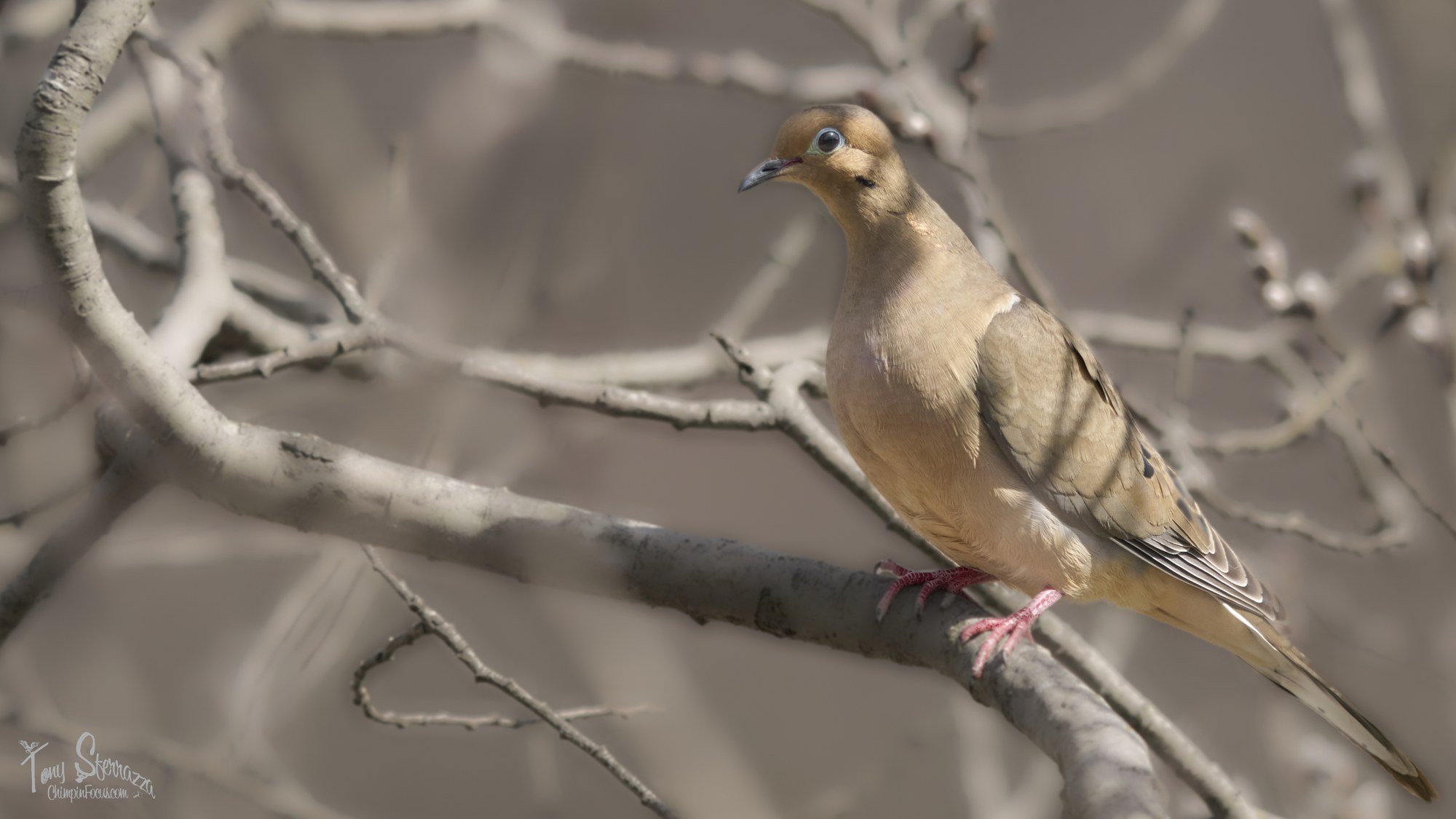 YP - 7R402539-Mar 22 2025.jpg