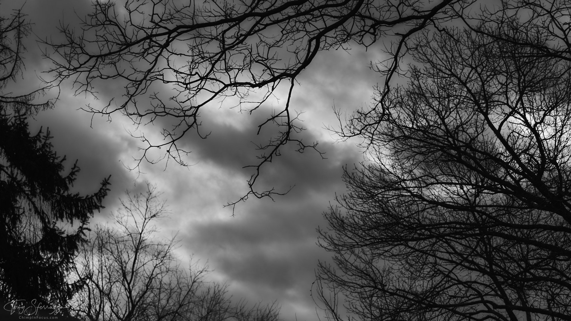 YP - P1030320-Jan 03 2025.jpg