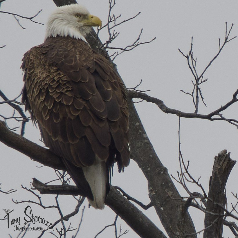 YP - P3152038-Mar 15 2025.jpg