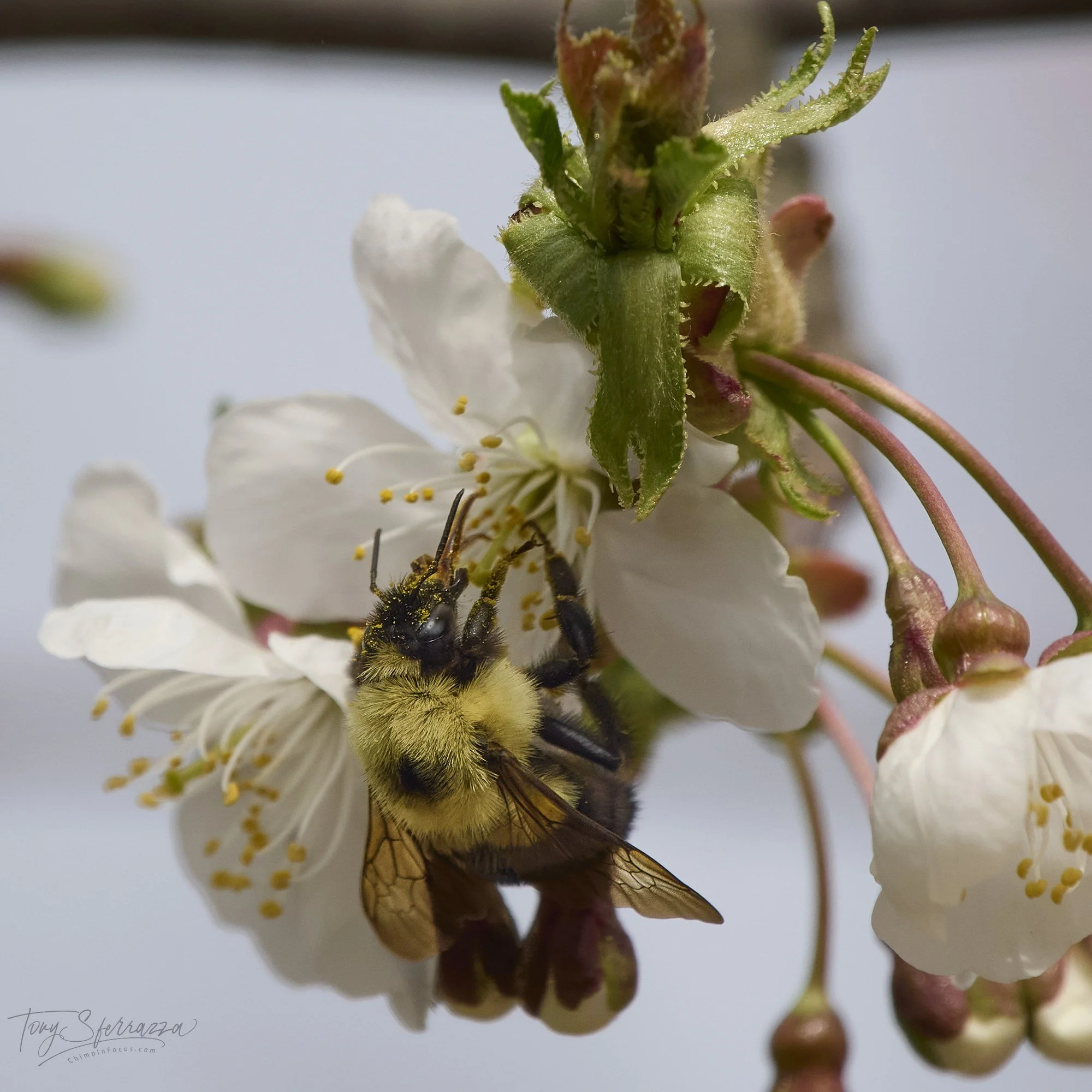 YP - P4190354-Apr 19 2025.jpg