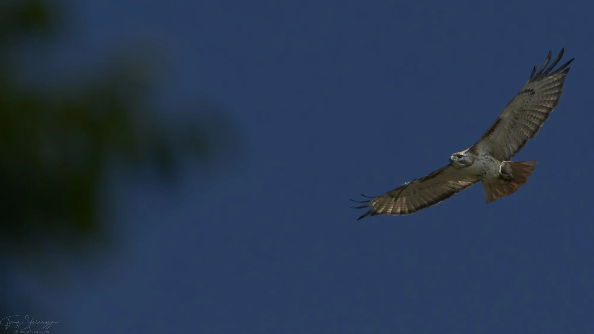 YP - SA104901-Jun 18 2023.jpg