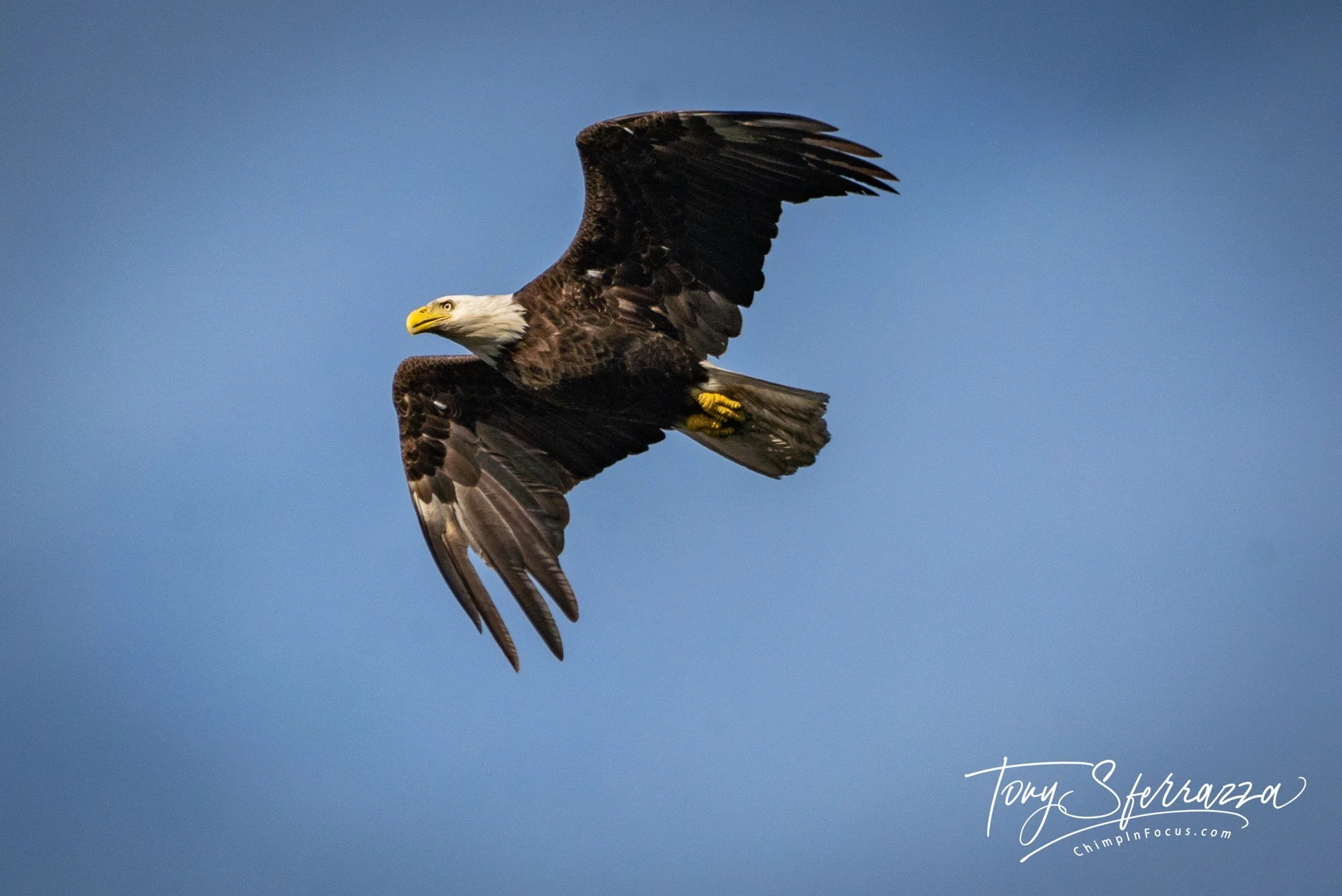 YP--Nature-v1-7M309809-Edit.jpg